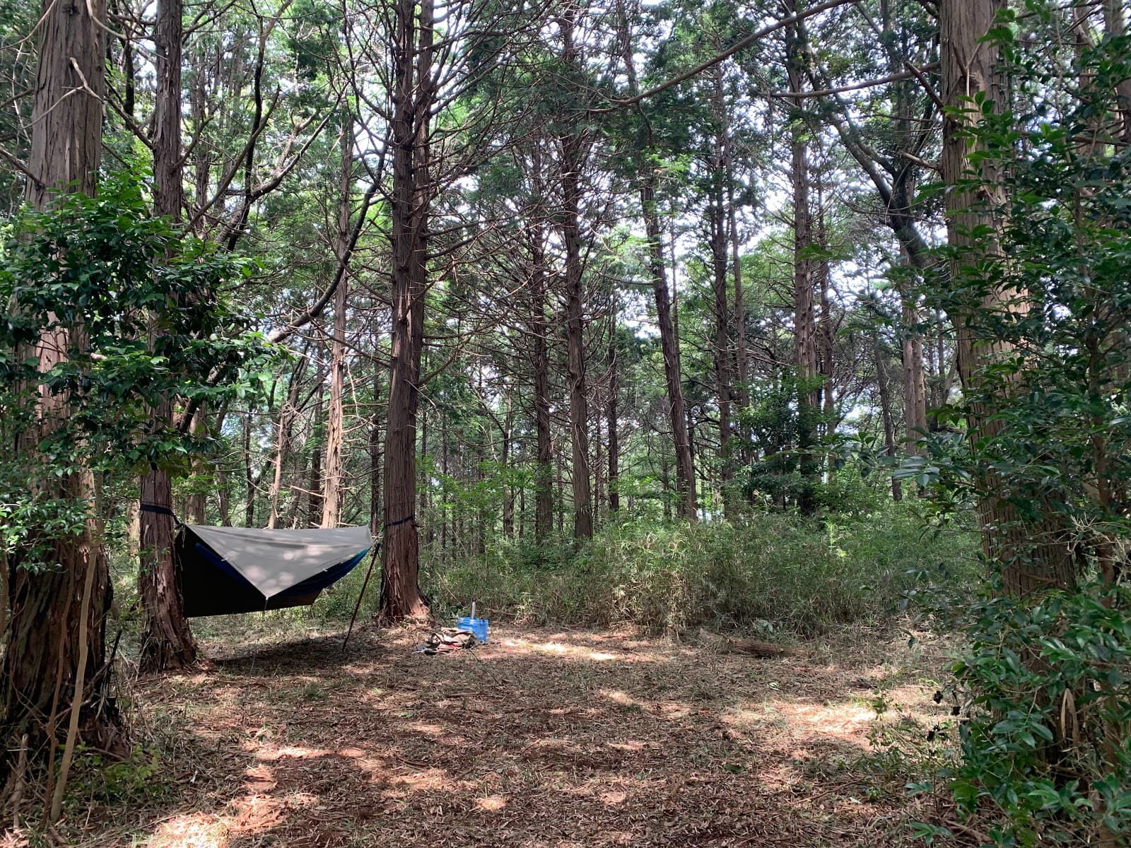 Easy Land Base ブッシュクラフトエリア