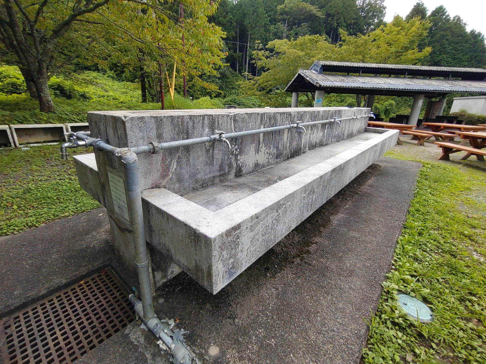 水口スポーツの森 西側キャンプ場