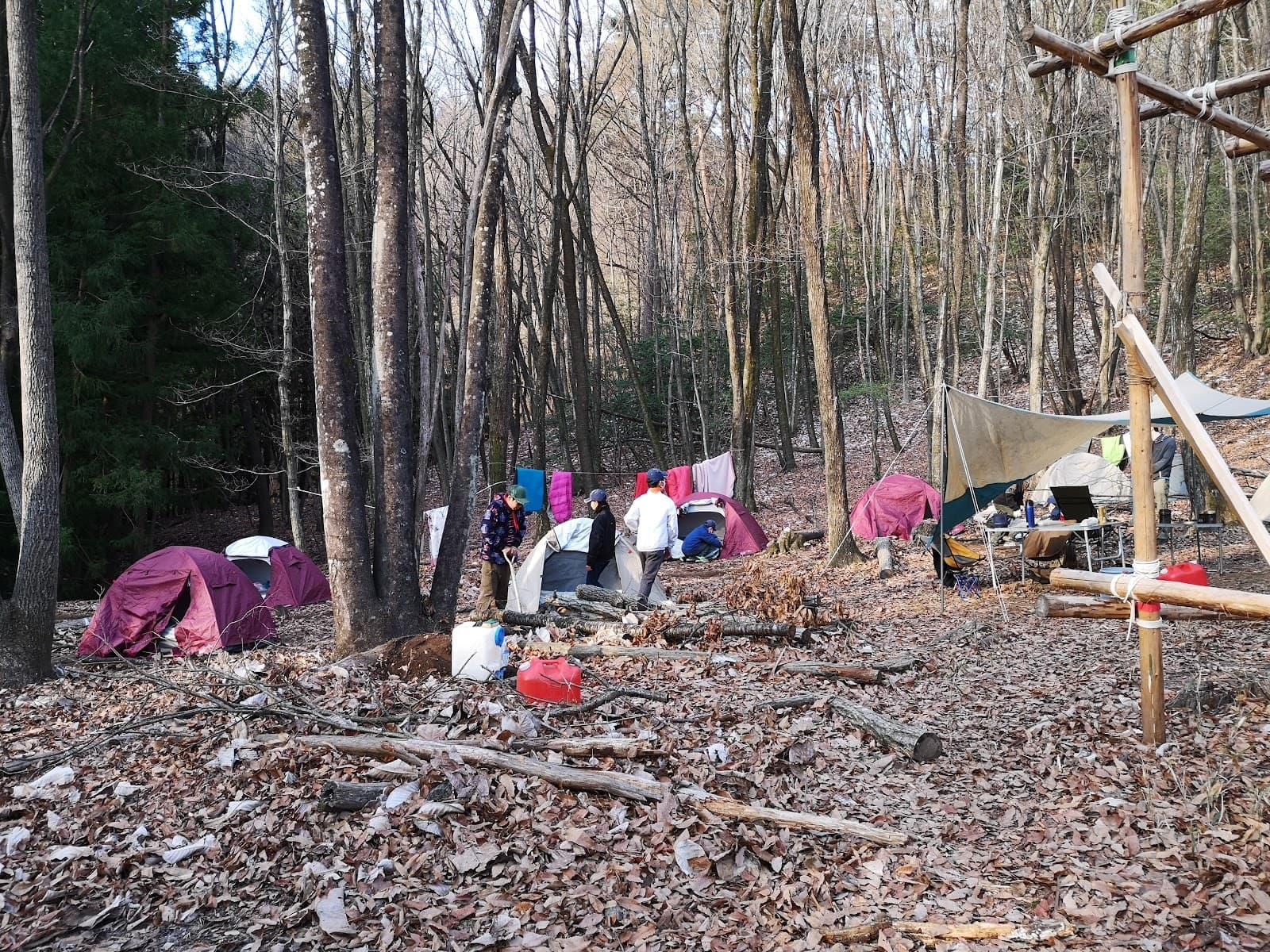 ボーイスカウト文京１団キャンプ場