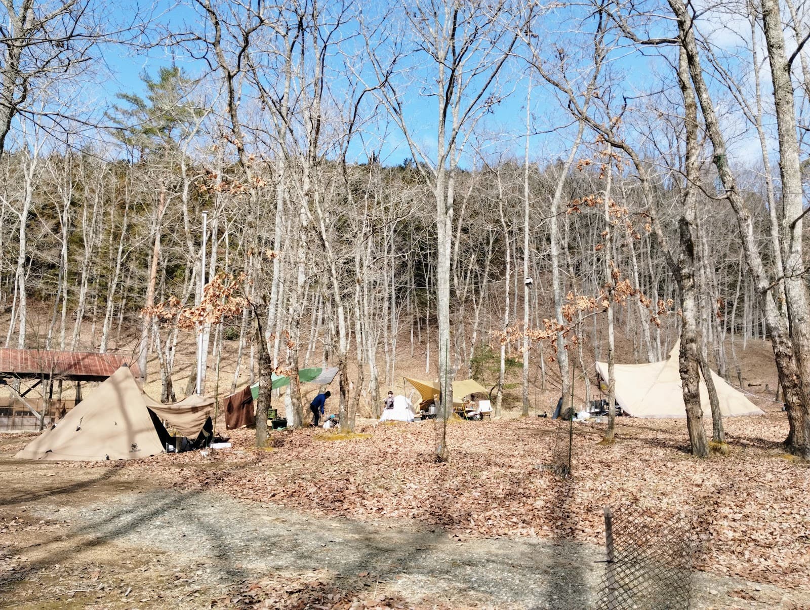 ろくろしの森キャンプ場