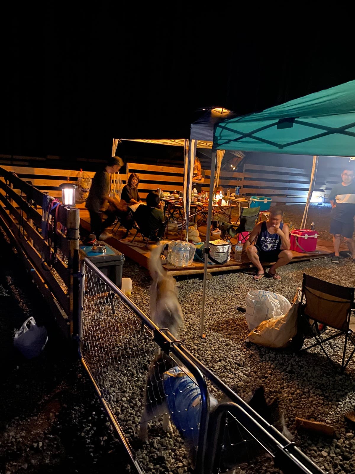 foothillsキャンプ場