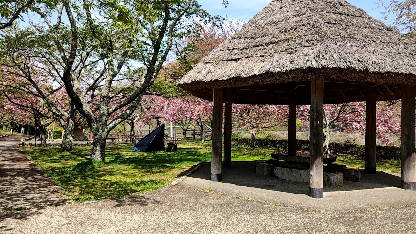 川代公園キャンプ場