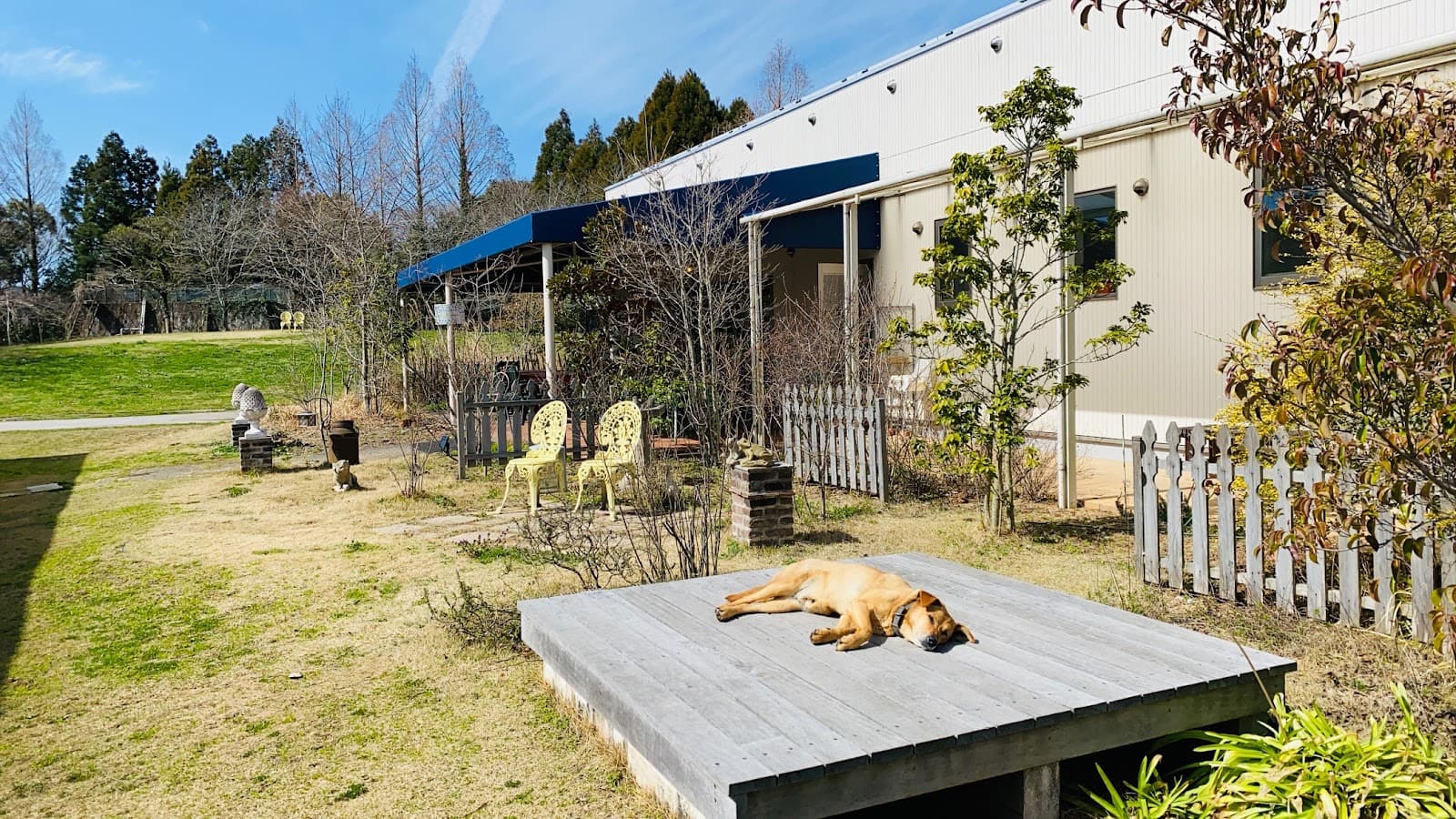 ラピュタファームキャンプ場