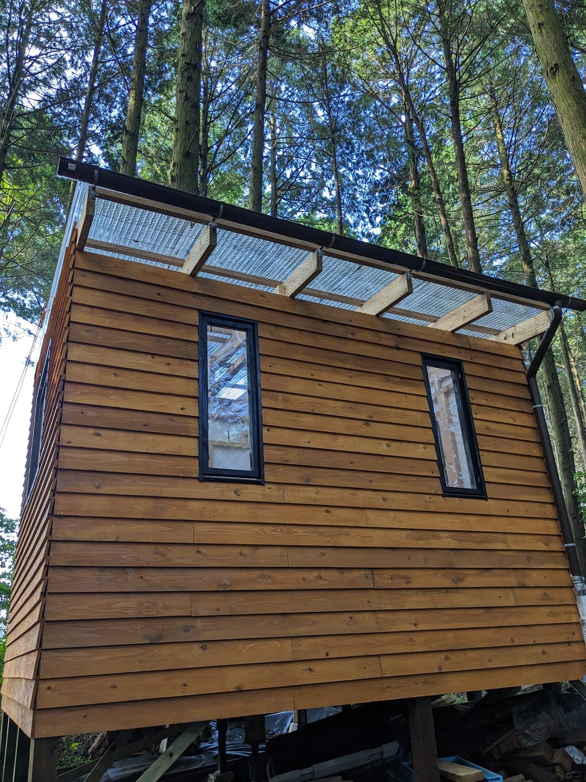 いのきちの森 キャンプ場