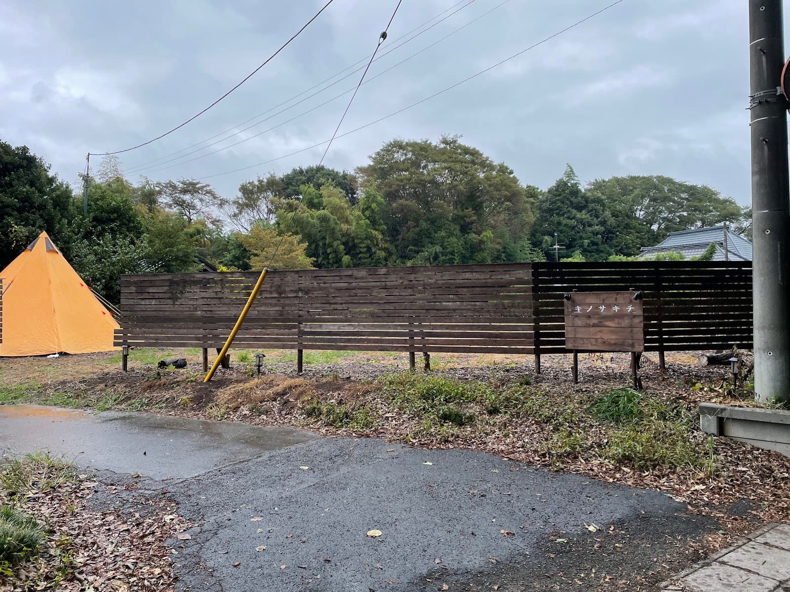 キノサキチ（百万石ファーム）