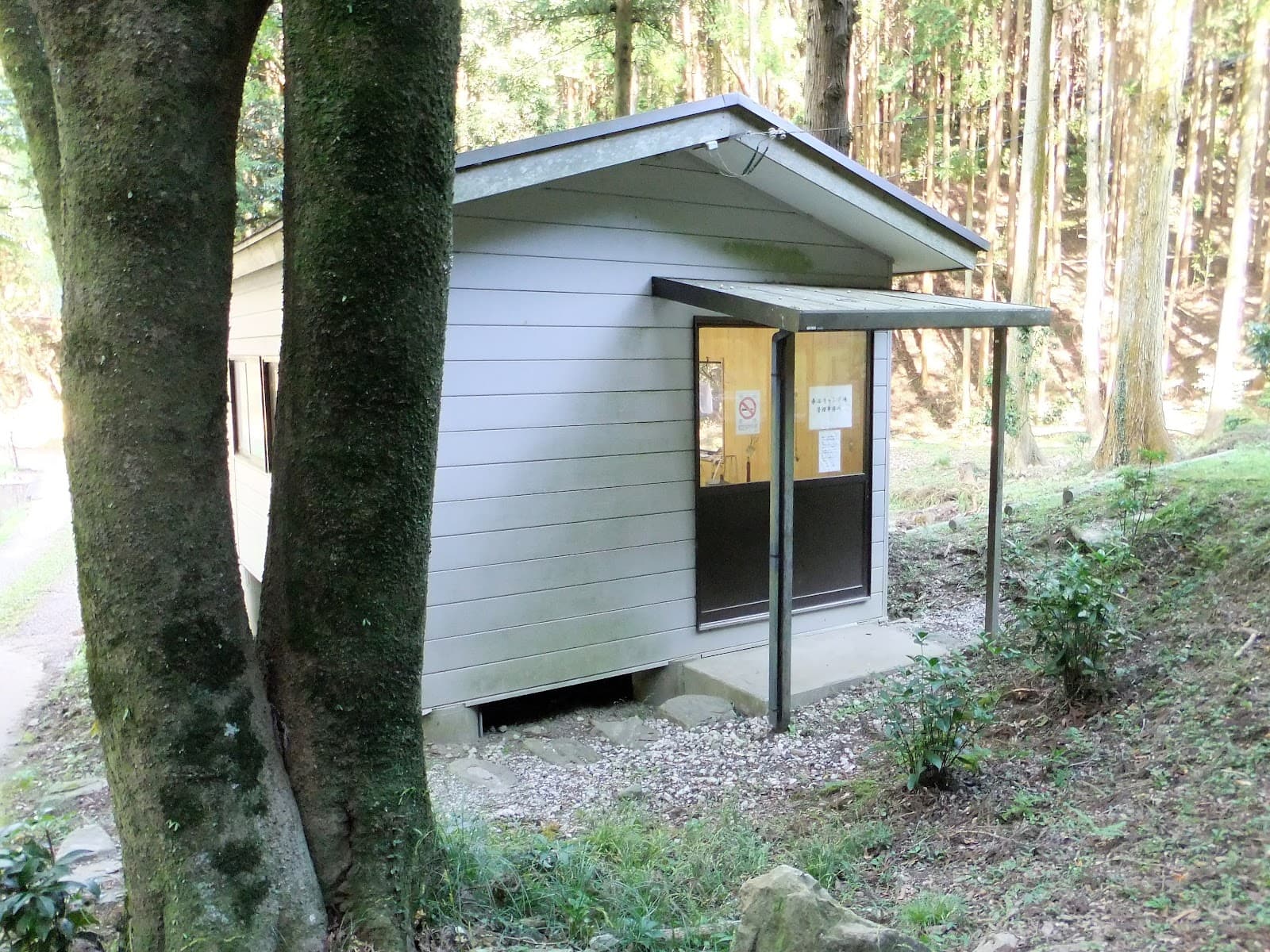 桑谷キャンプ場