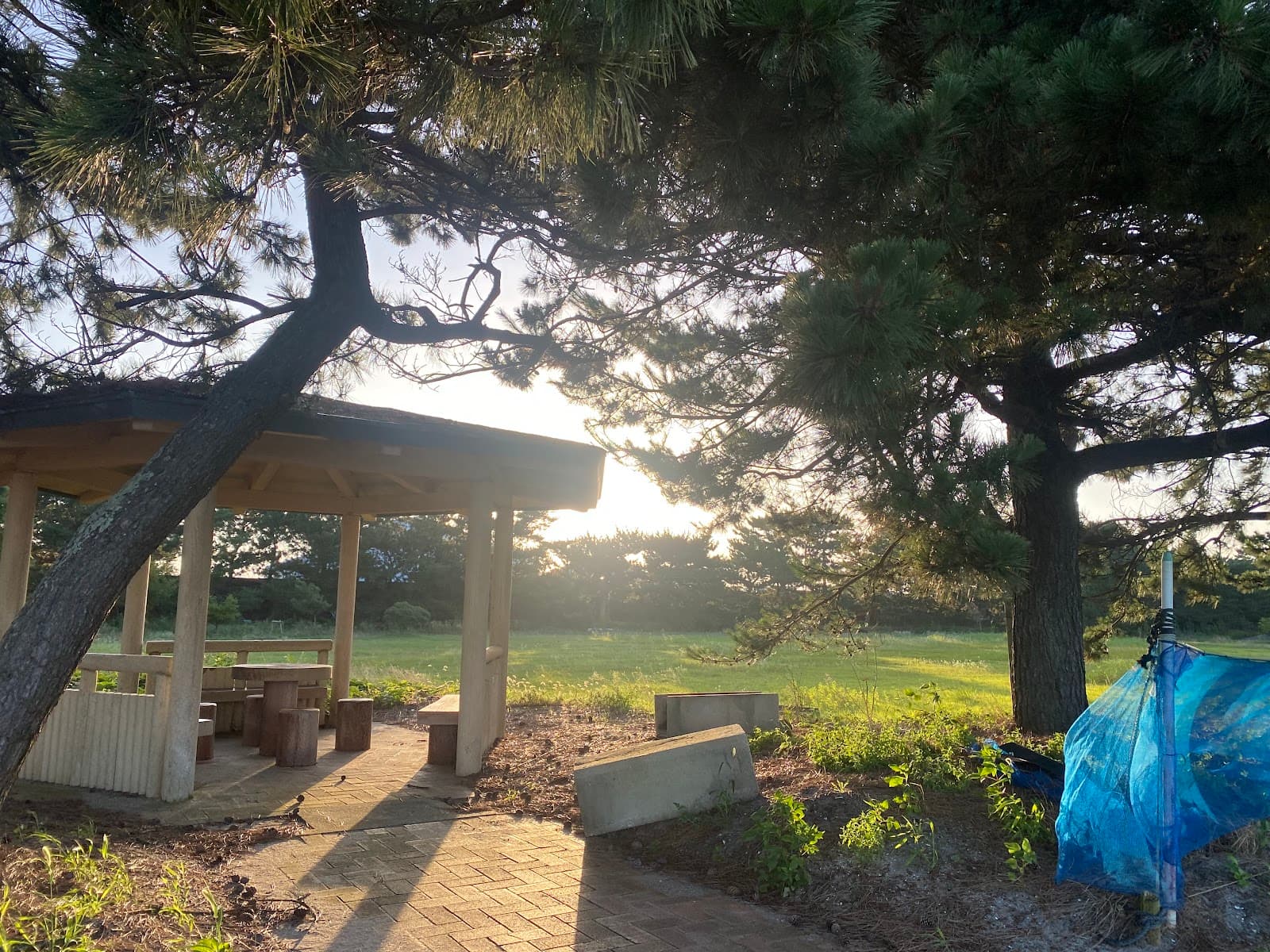 SOLA Sio キャンプ場