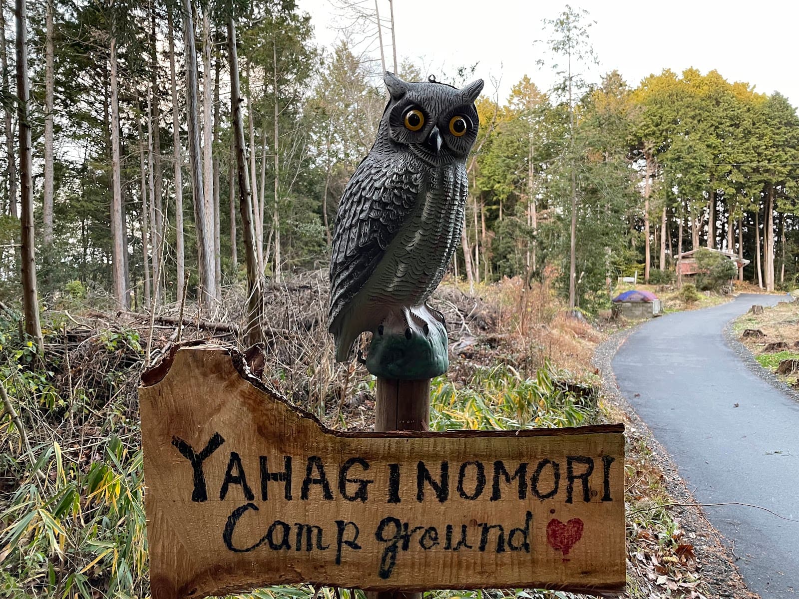 矢萩ツクボの森