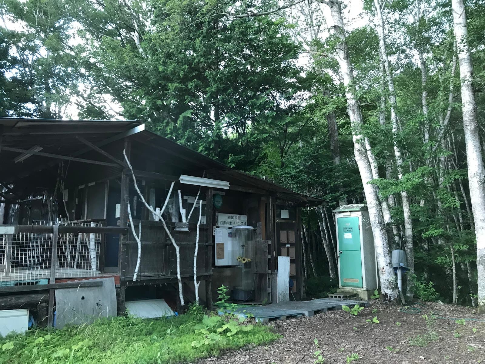 四賀自然森林浴白樺の里