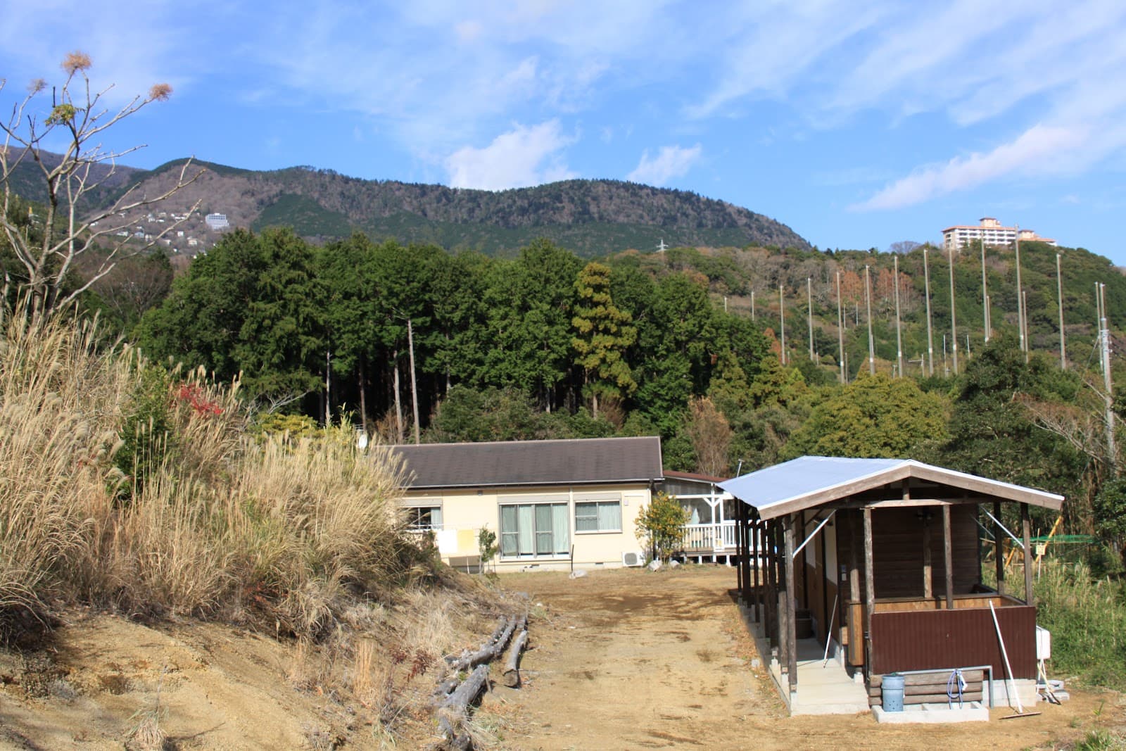 キャンプ場 『Deer Trail』