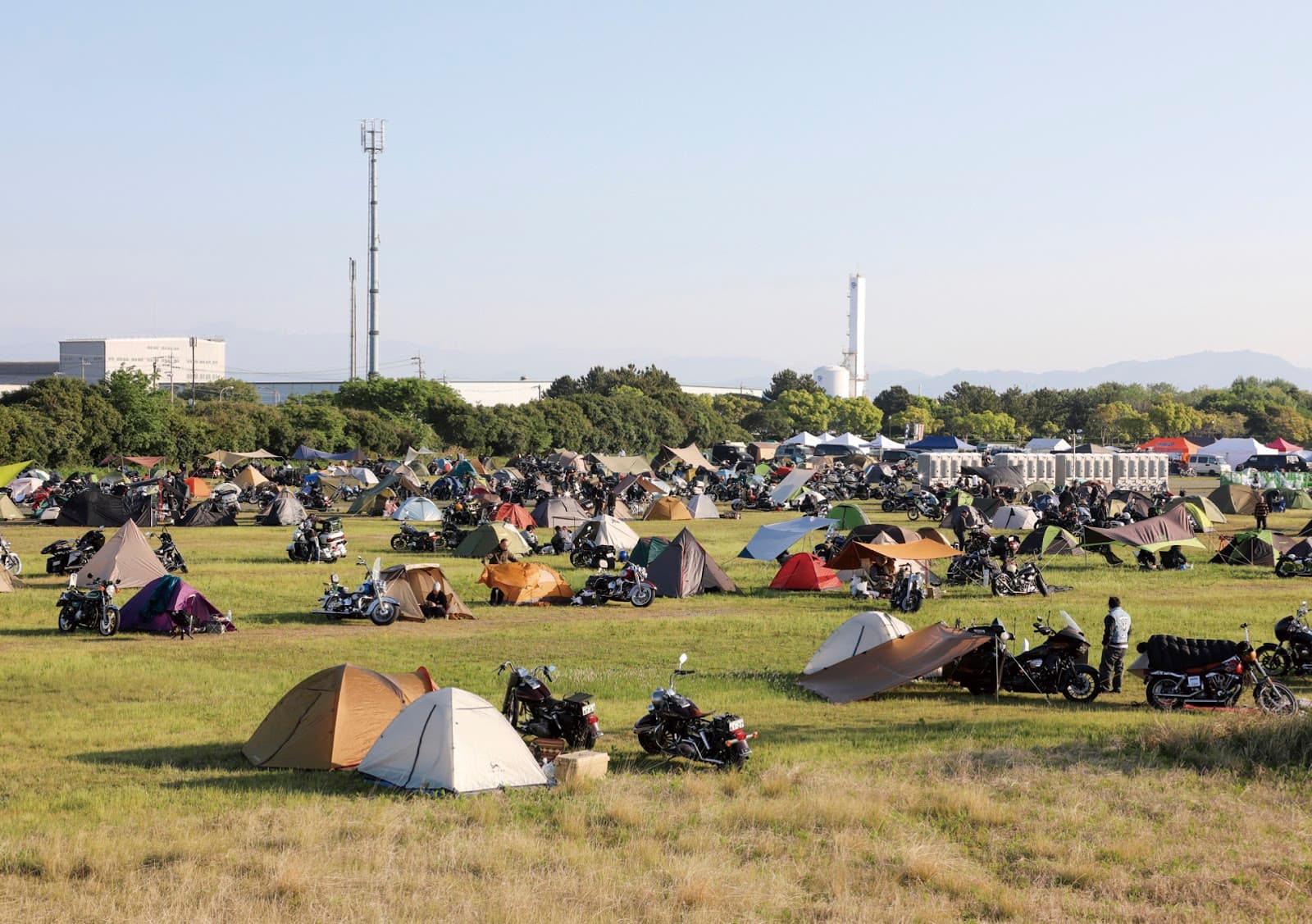 VIBES INDEPENDENCE DAY