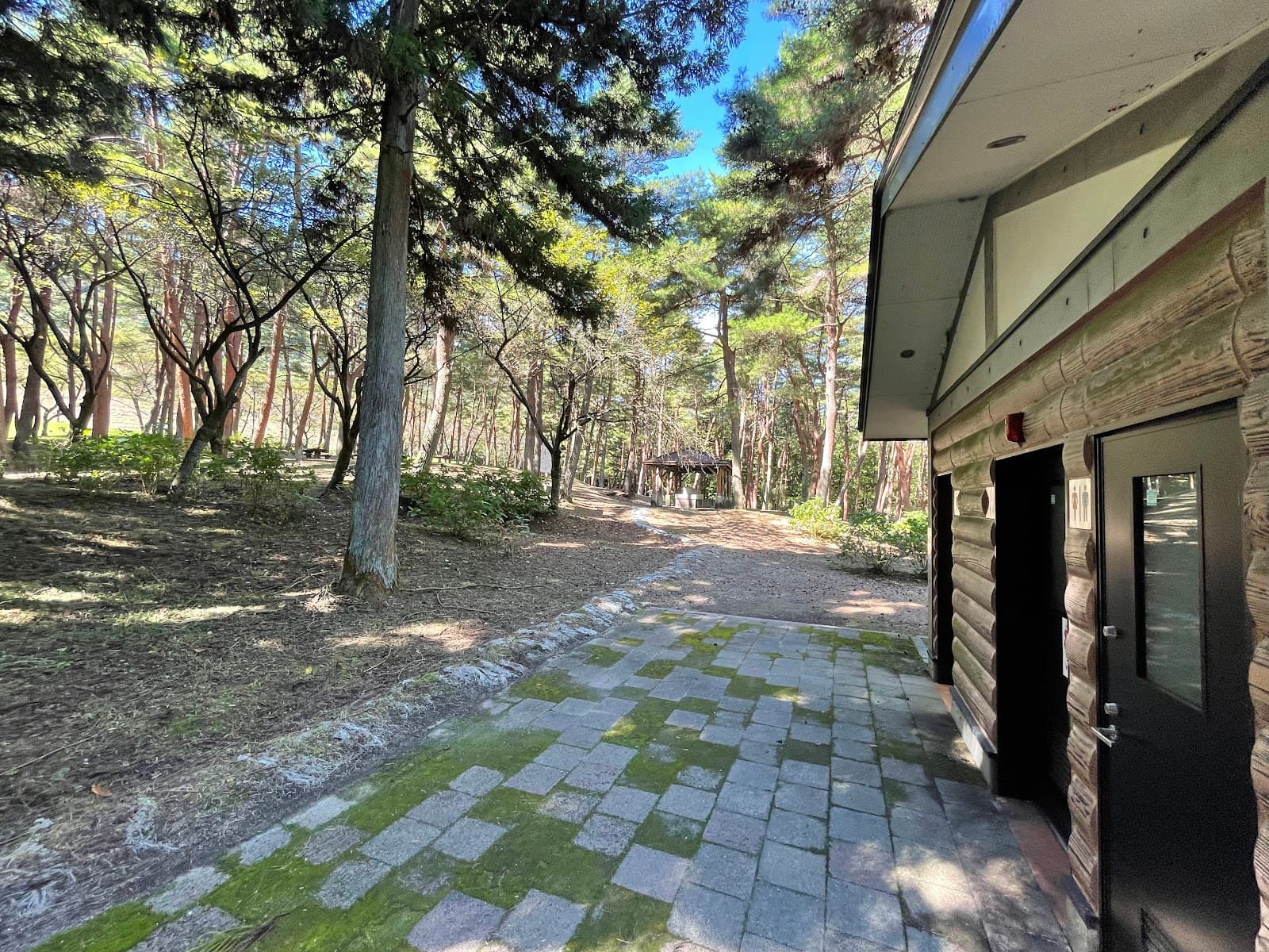 渋川市総合公園 キャンプ場