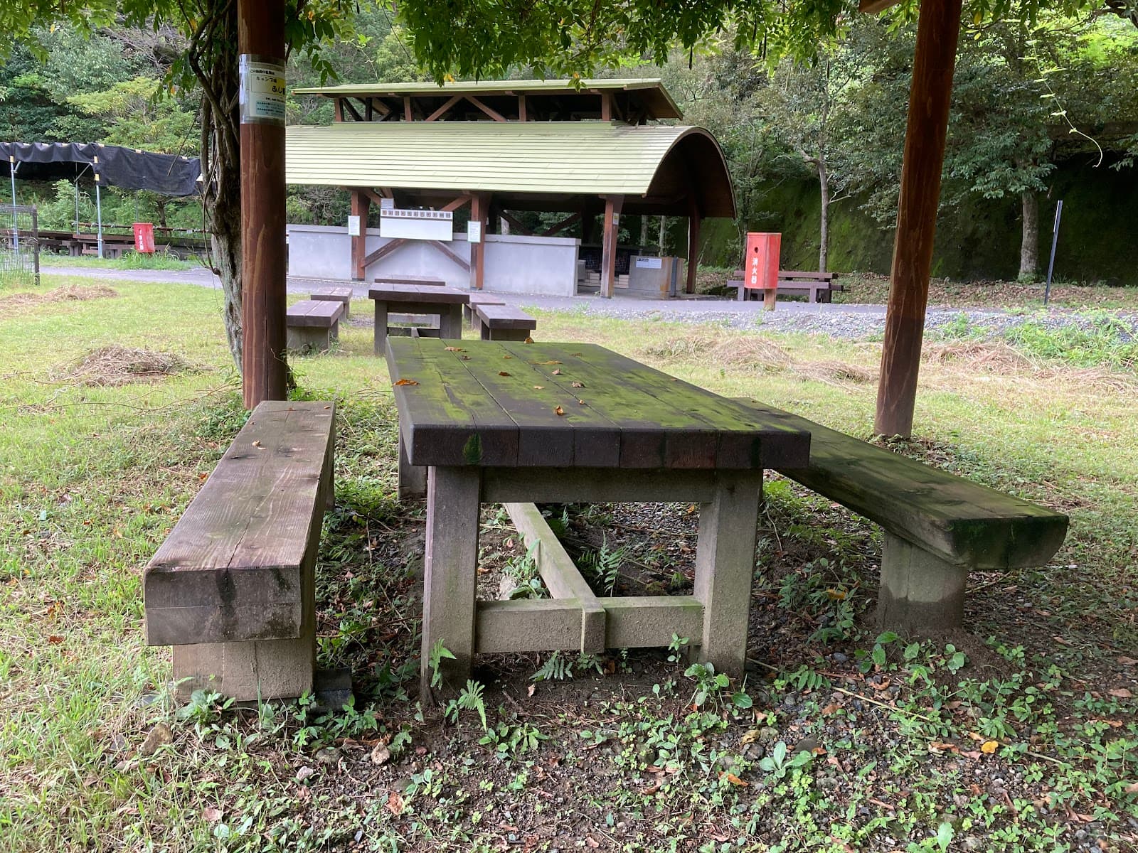 🏕️静岡県立森林公園 デイキャンプ場