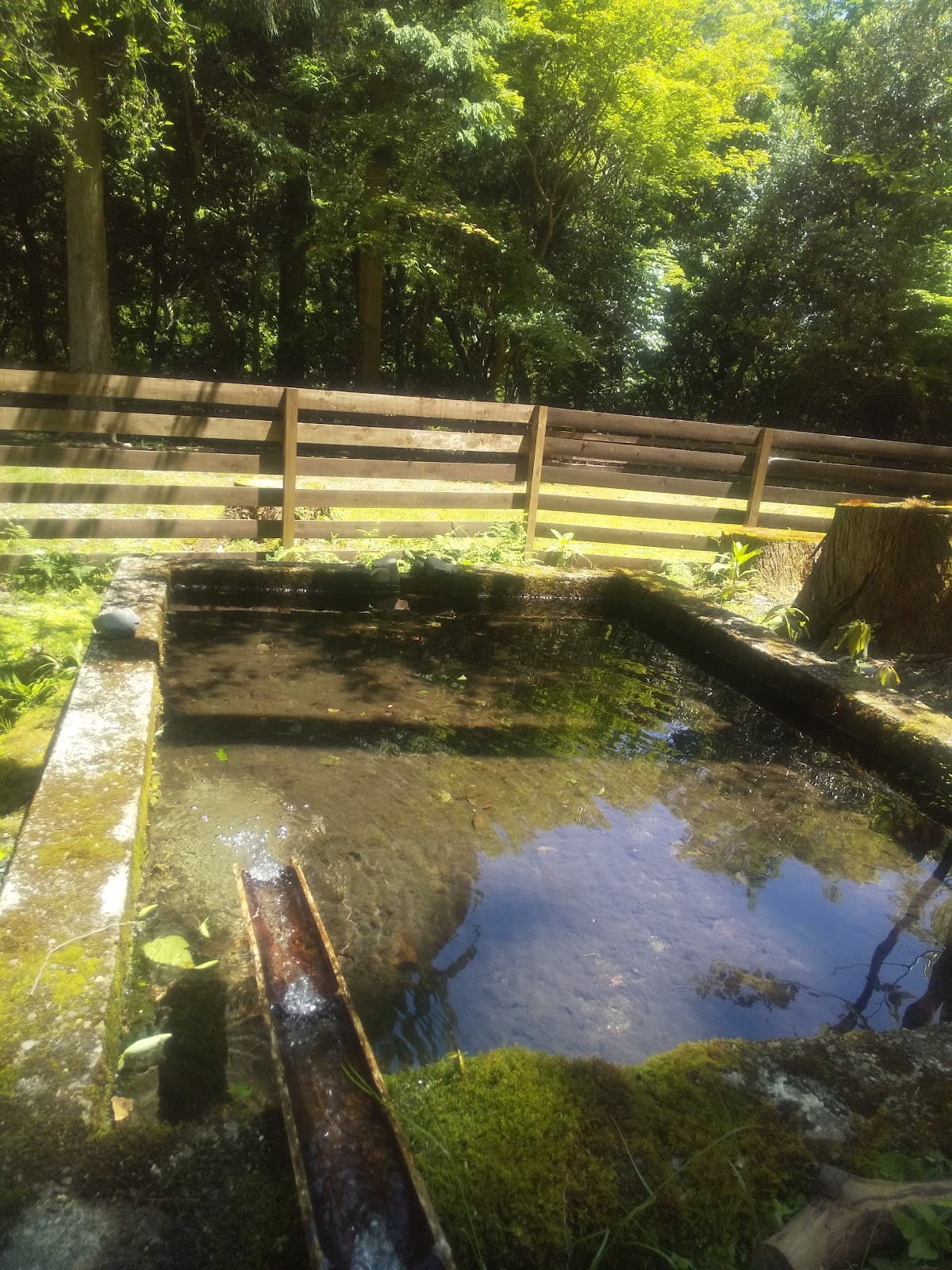 もんでこキャンプ場トキヤマ