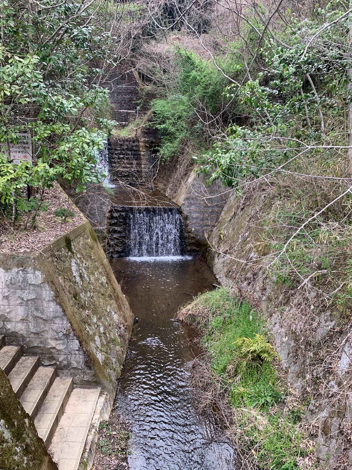 長岡京市西山キャンプ場