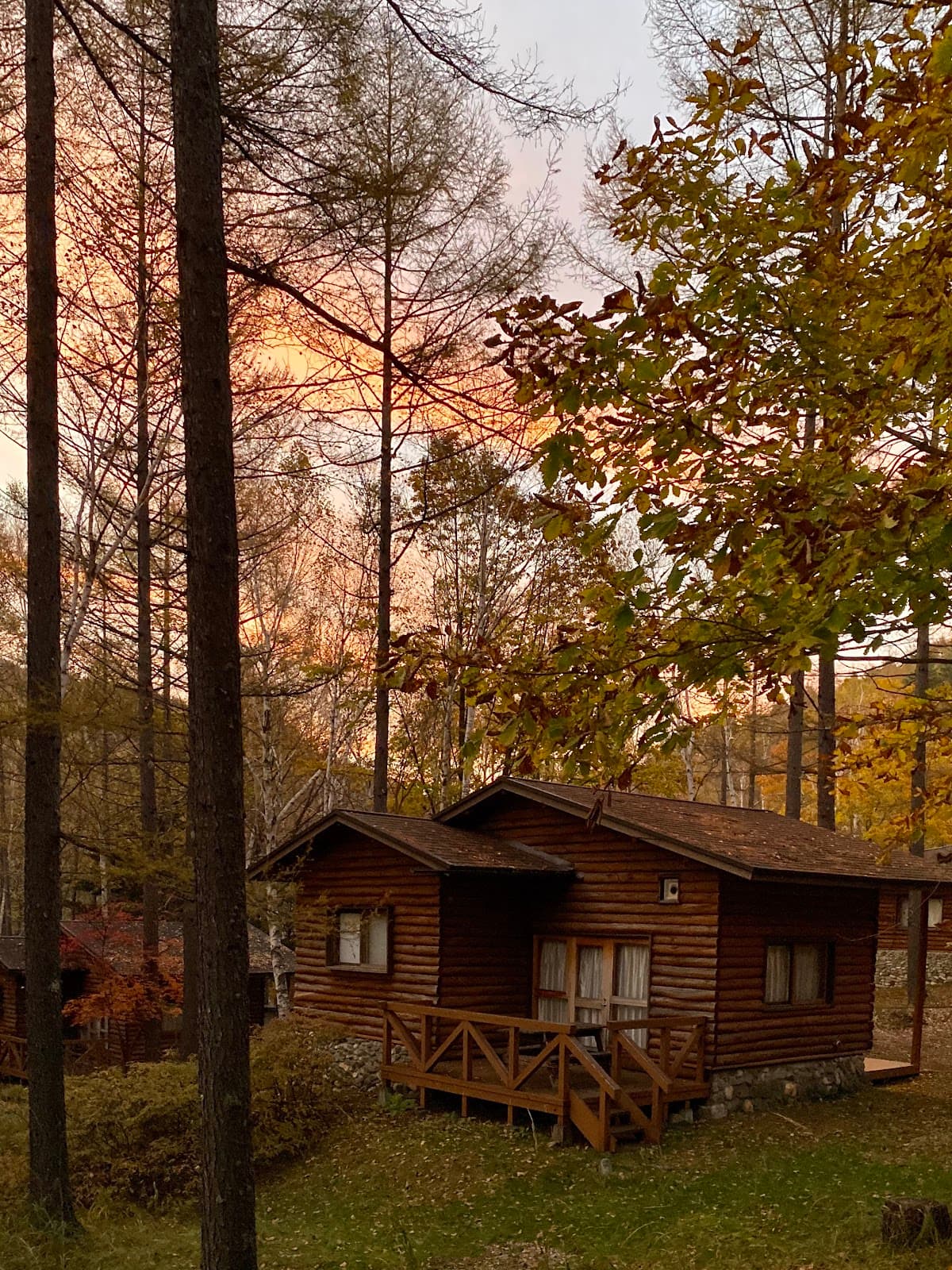 町田市自然休暇村テントサイト