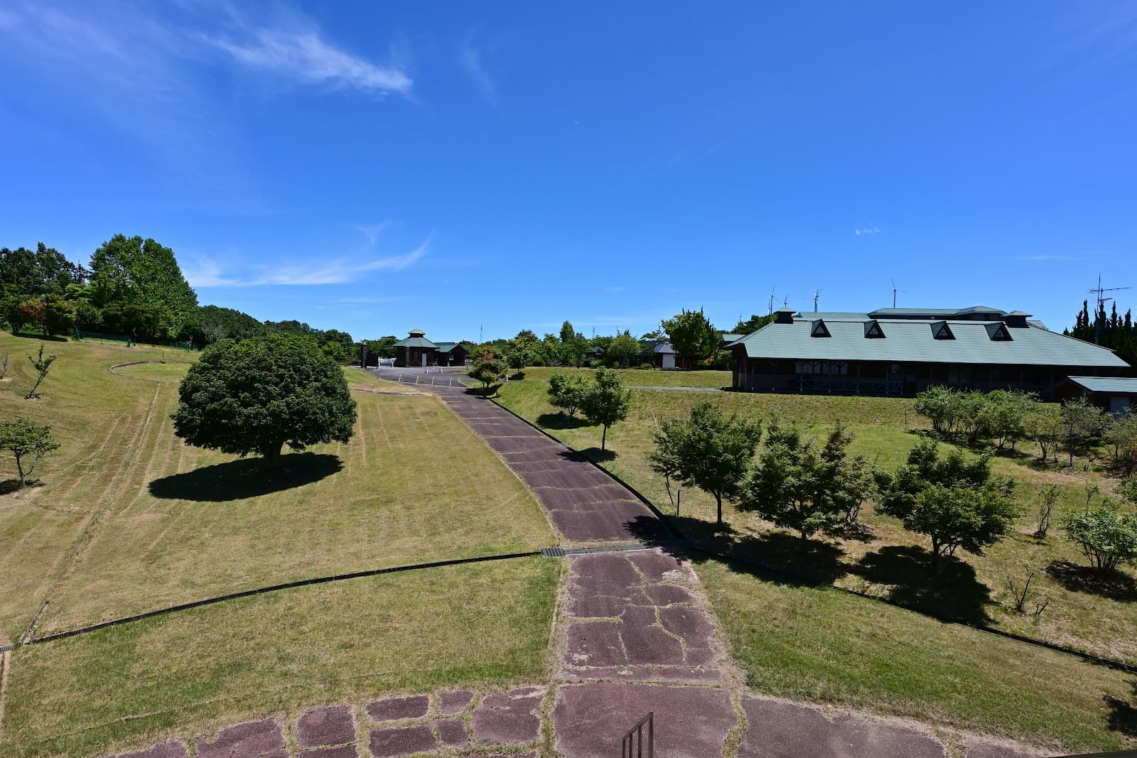 パラディッソおおいた