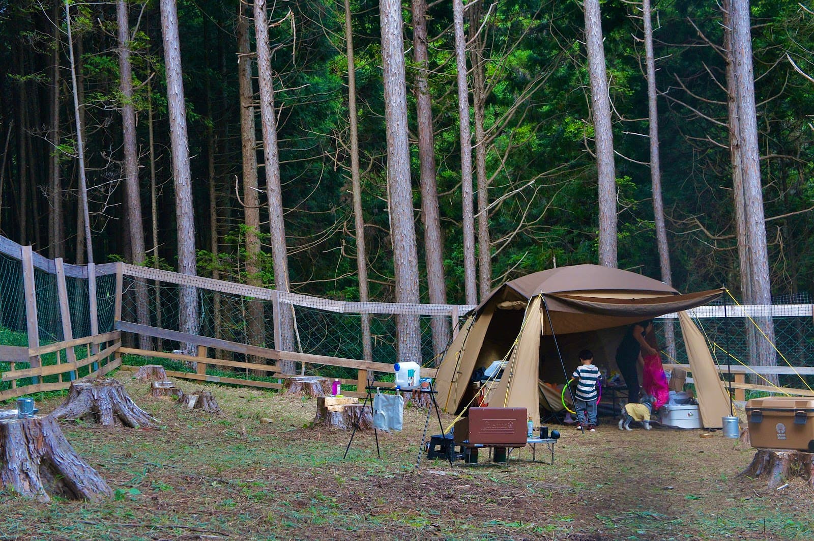 TSUNAGU camp
