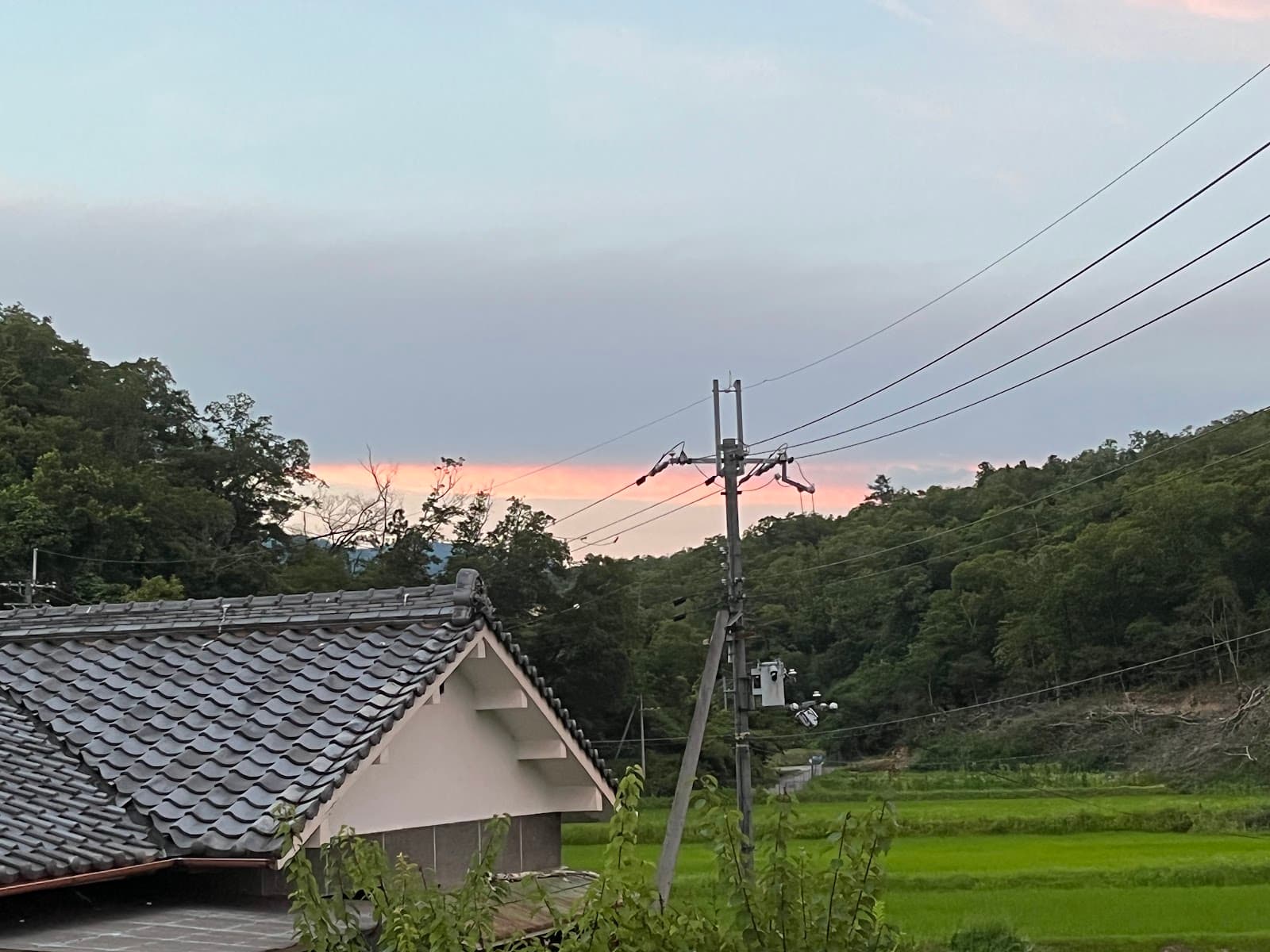 ミーム フォレストガーデン