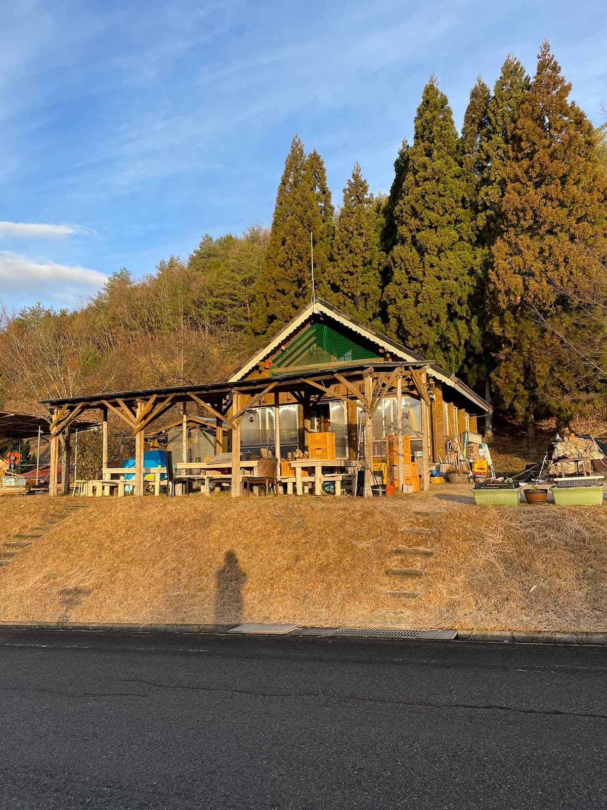 ワイワイパーク