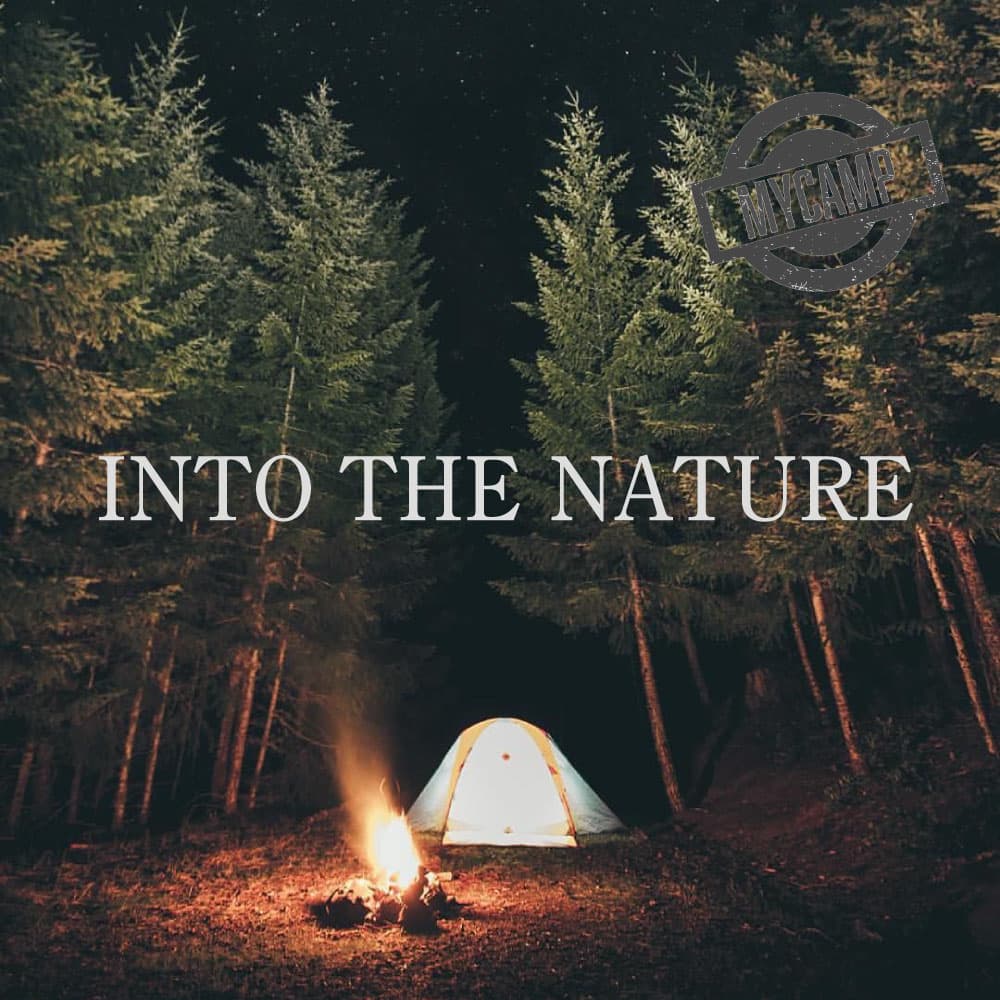 マイキャンプ 小田原 入生田2