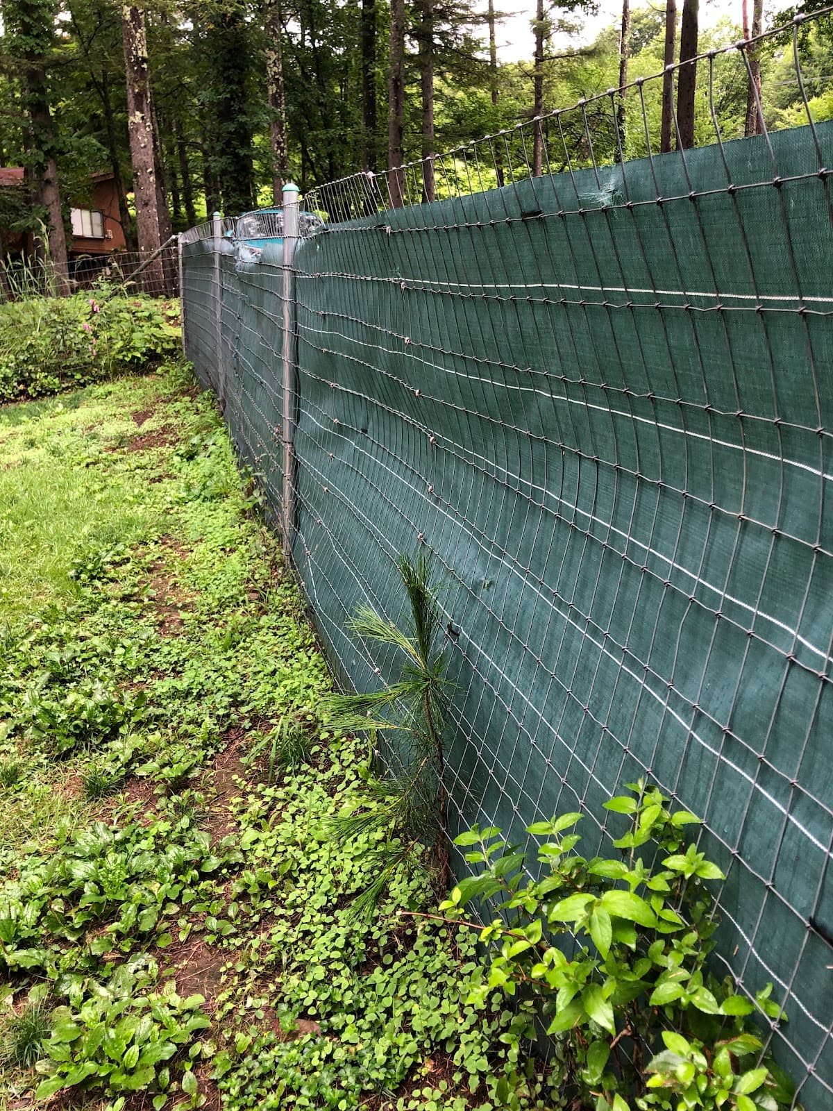 富士見高原ドッグランキャンプ場