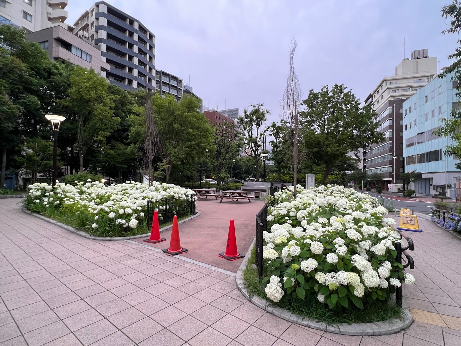 築地川公園 デイキャンプ場