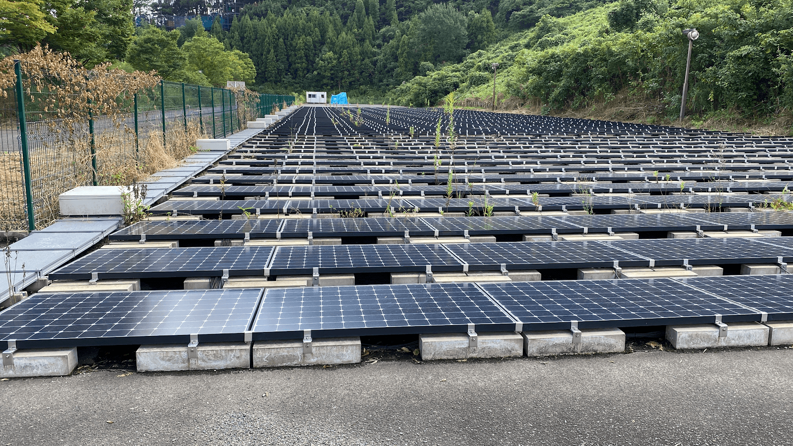 COP ココ＆アウトドア パラダイス 株式会社AXIS