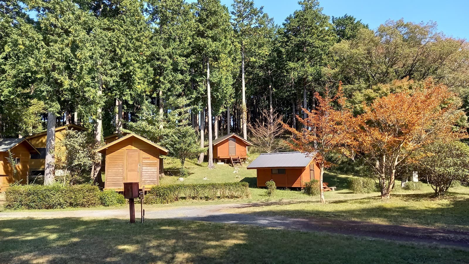 天城ふるさと広場 キャンプ場