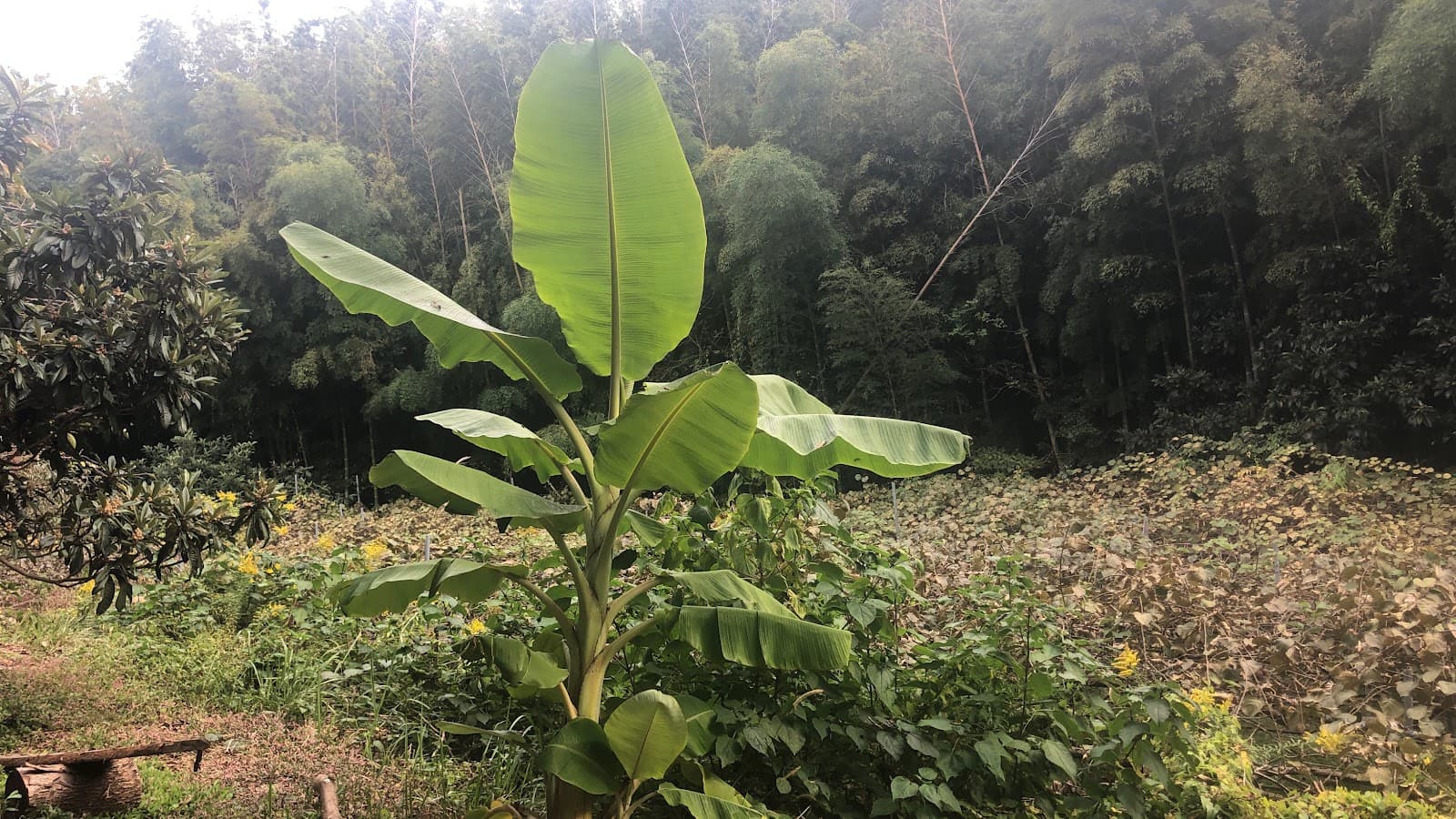 organic farm oi in camping プライベートキャンプ