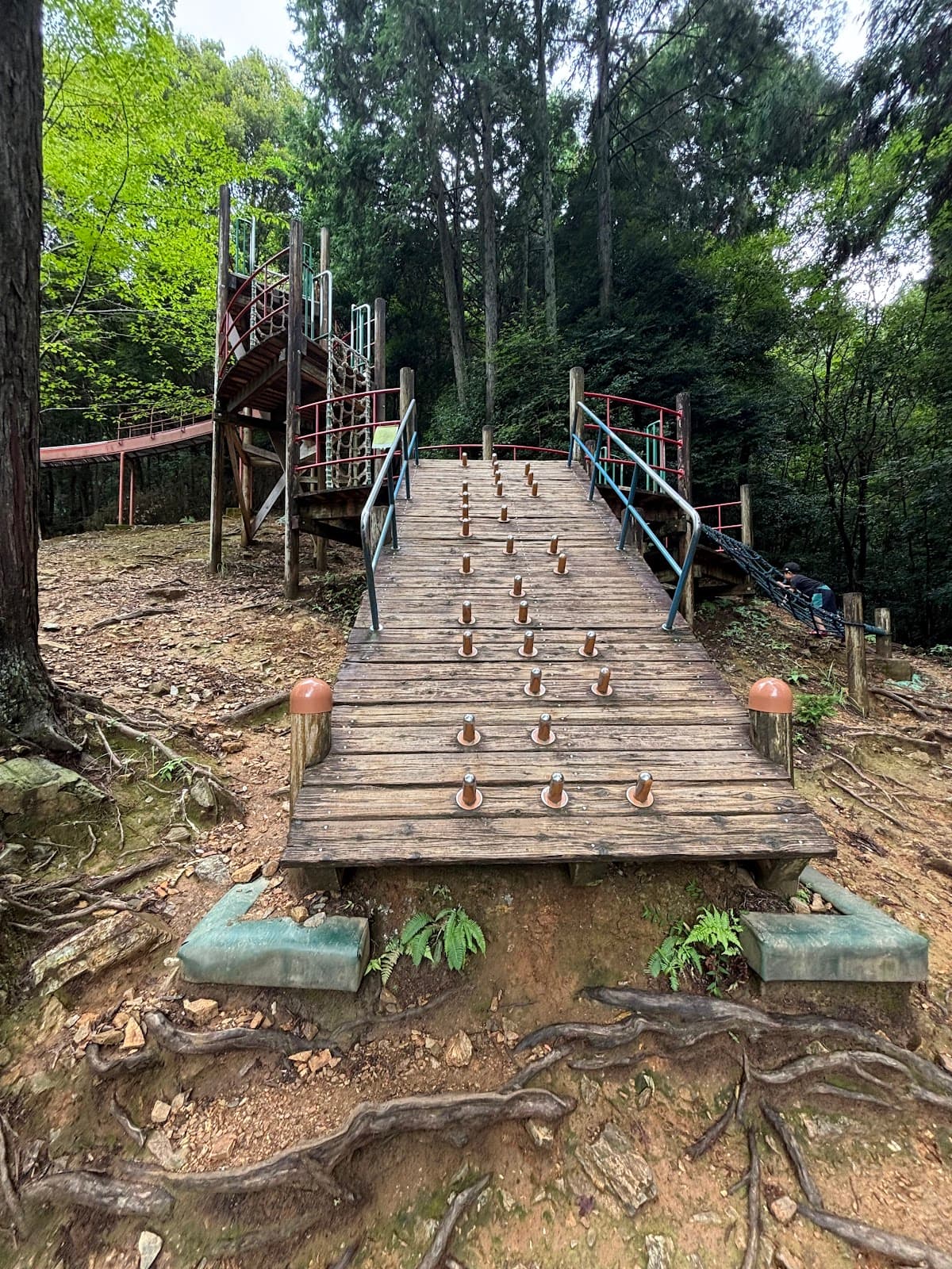 宇治市総合野外活動センター アクトパル フリーテントサイト