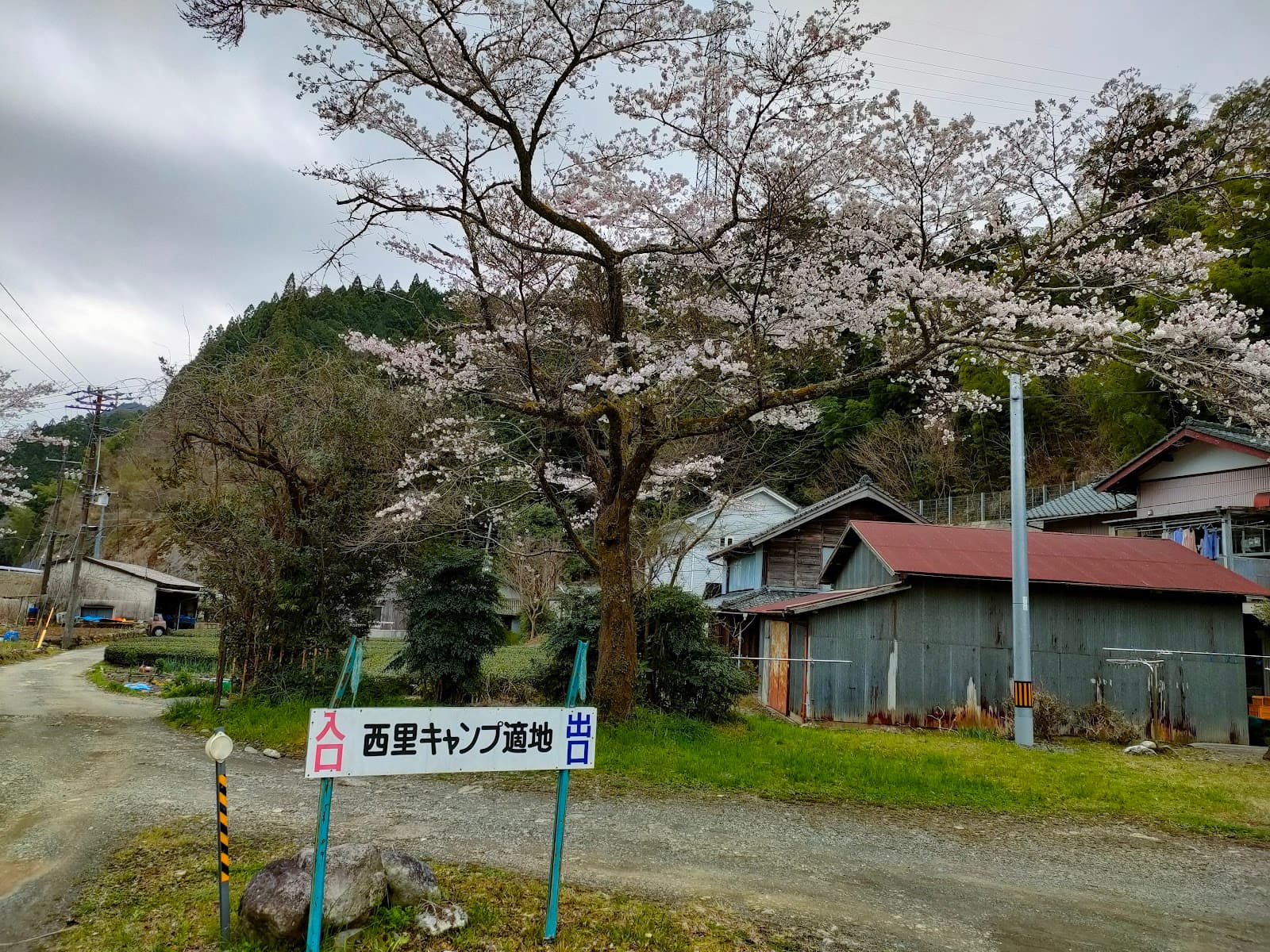 西里キャンプ適地