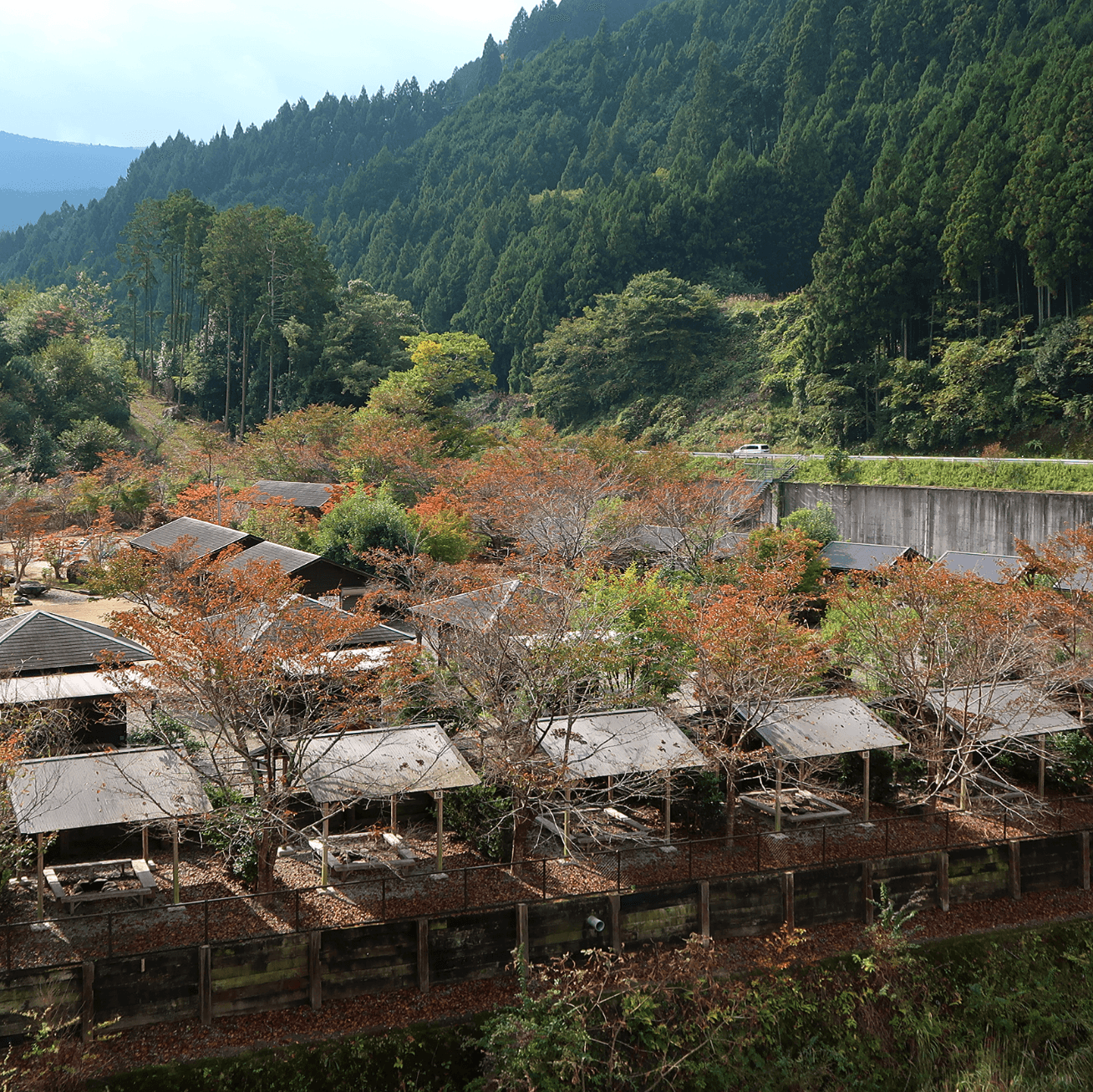 高見公園キャンプ場