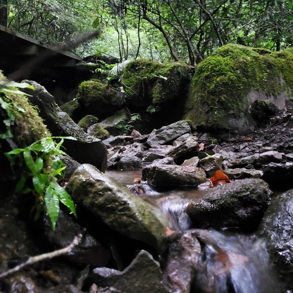 マイキャンプ 箱根 大平台