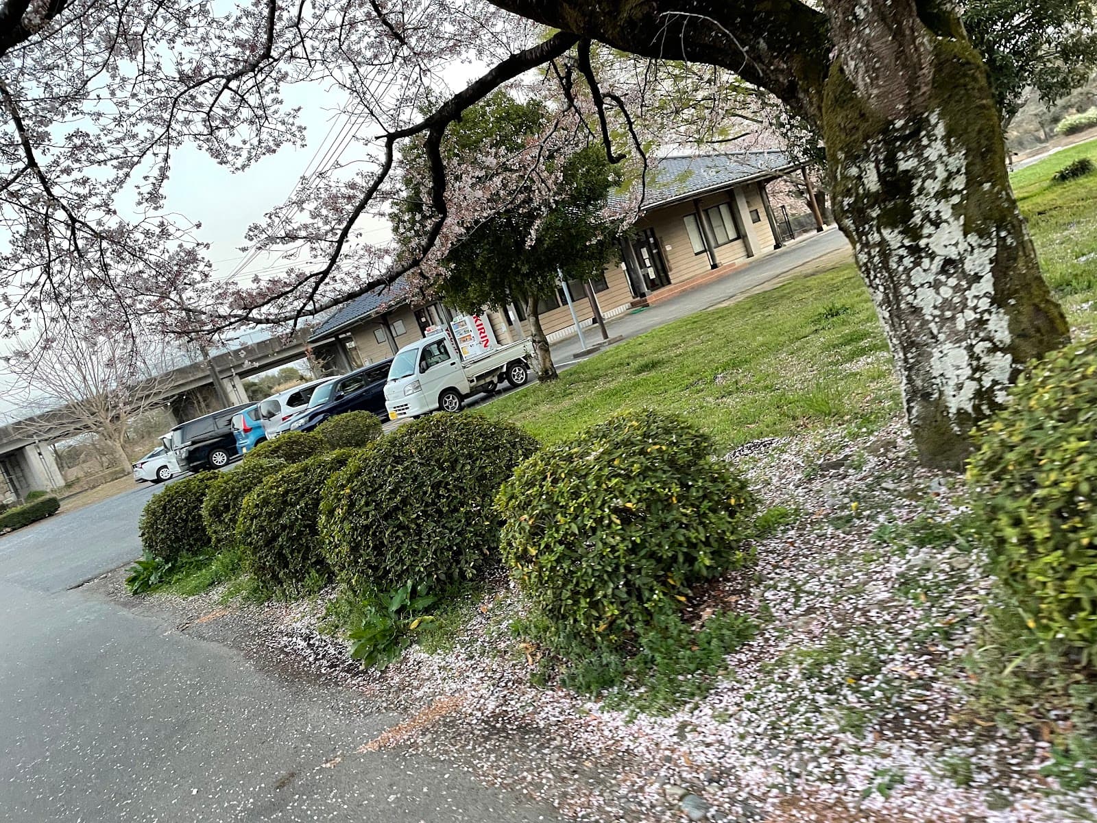 つがスポーツ公園キャンプ場
