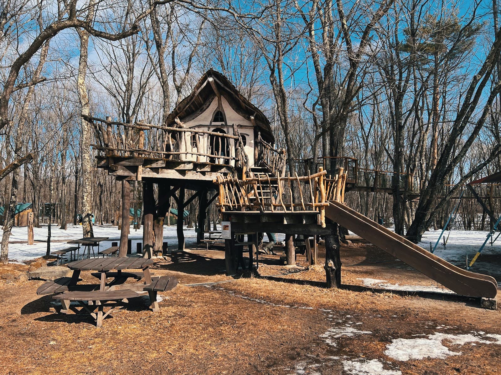 北軽井沢スウィートグラス