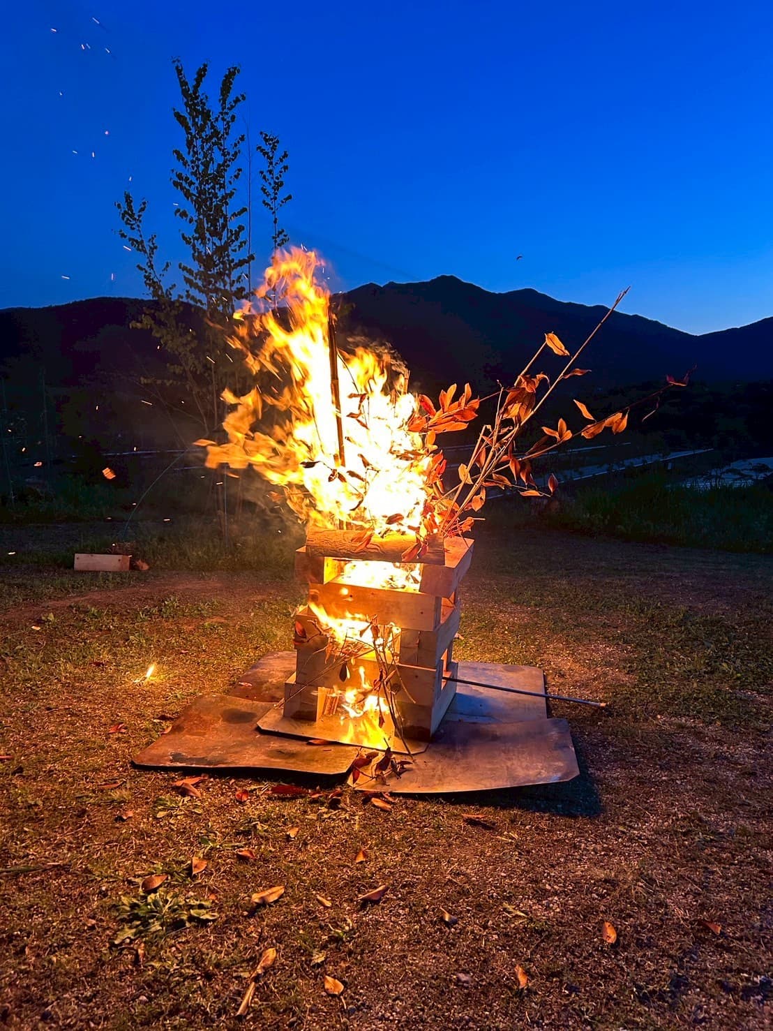 鳥のさえずりと星空のキャンプ場