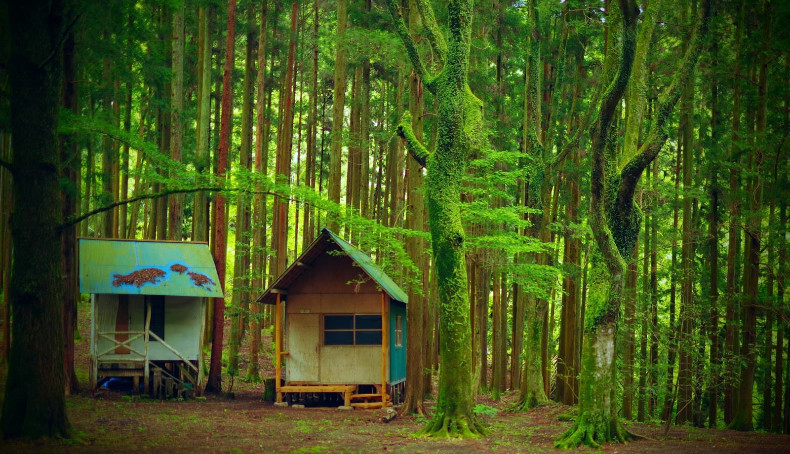 清津峡キャンプ場