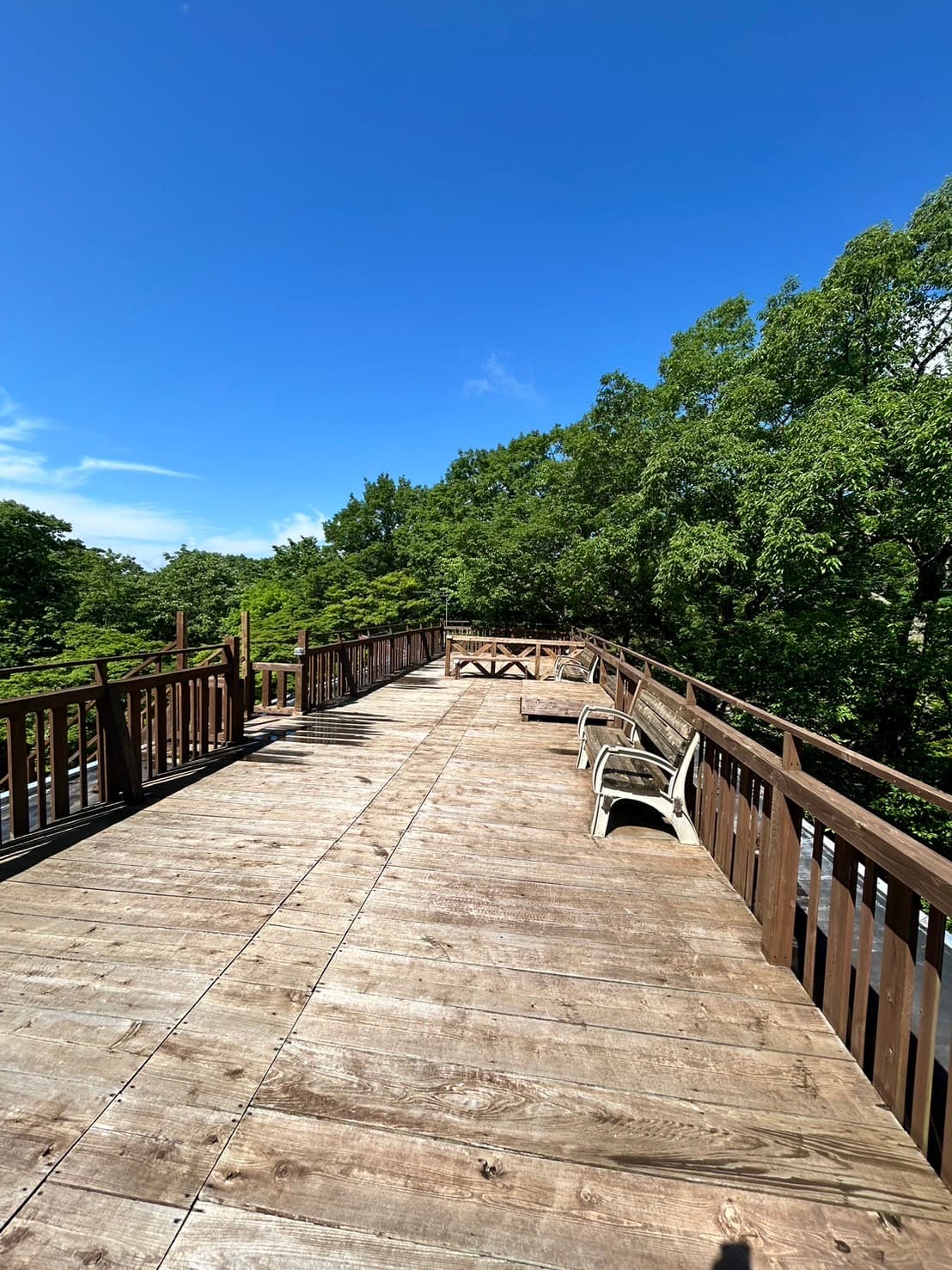 ぽんぽこの森ファミリーキャンプ場