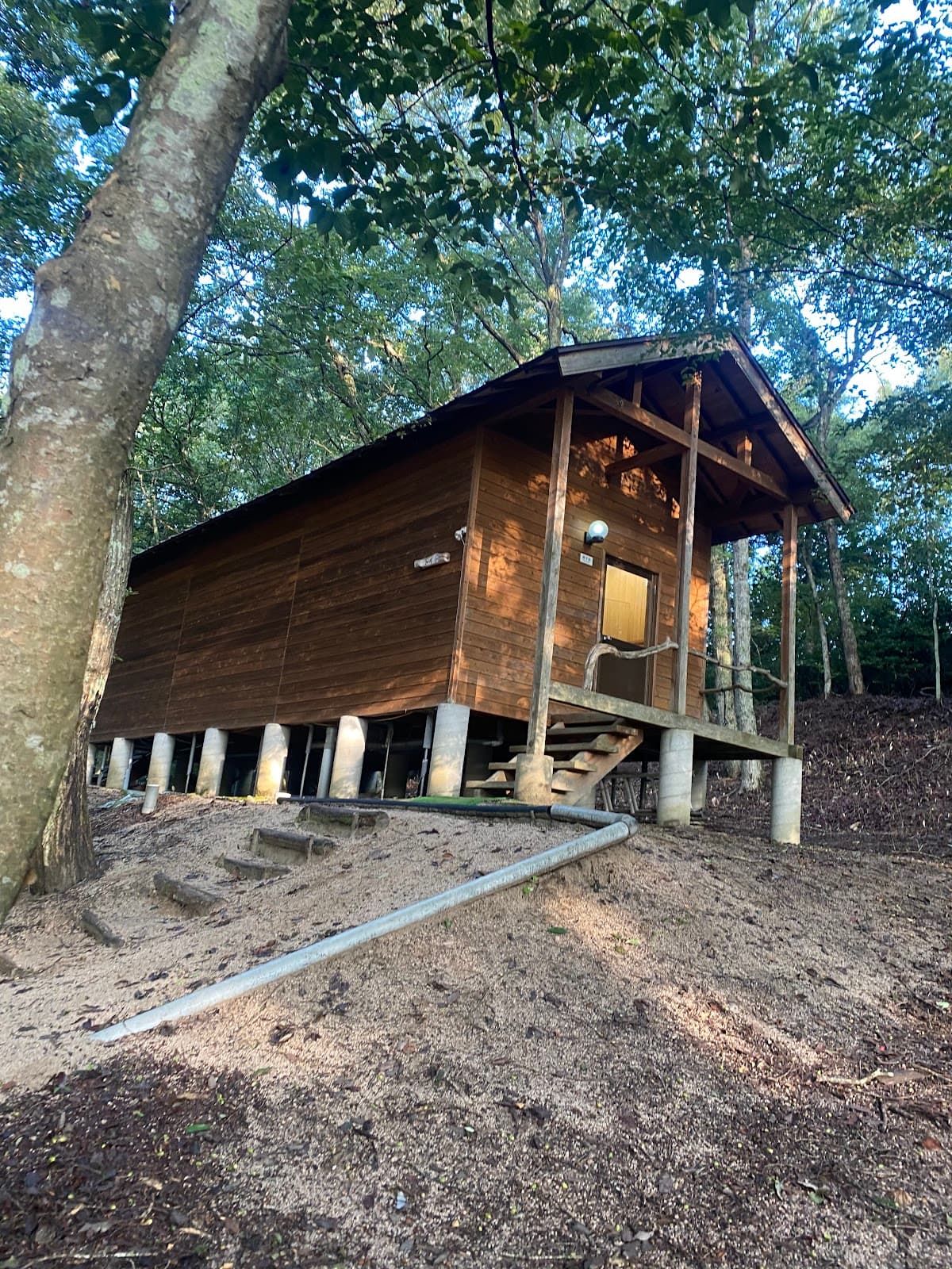 ゆきんこ村オートキャンプ場 森の1