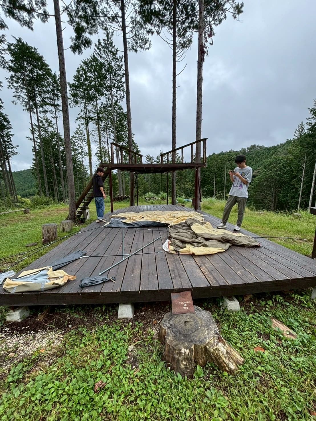 てらぼらの森キャンプ場