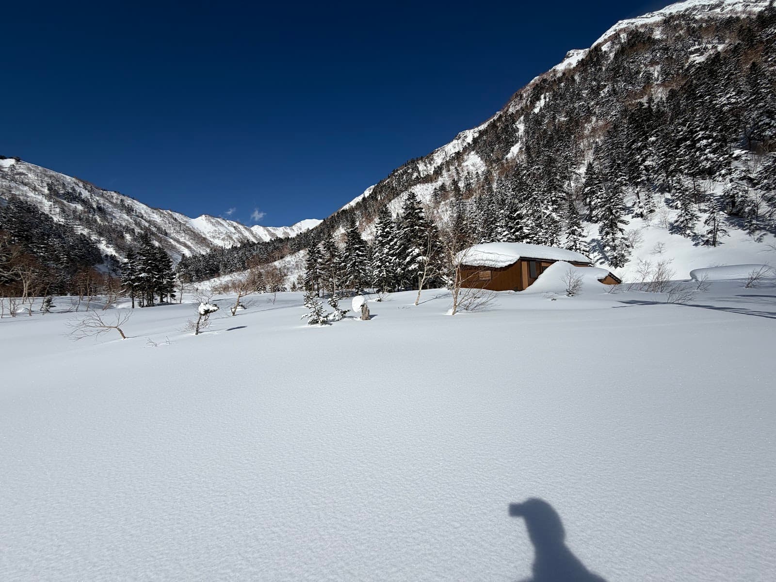槍平小屋テント場