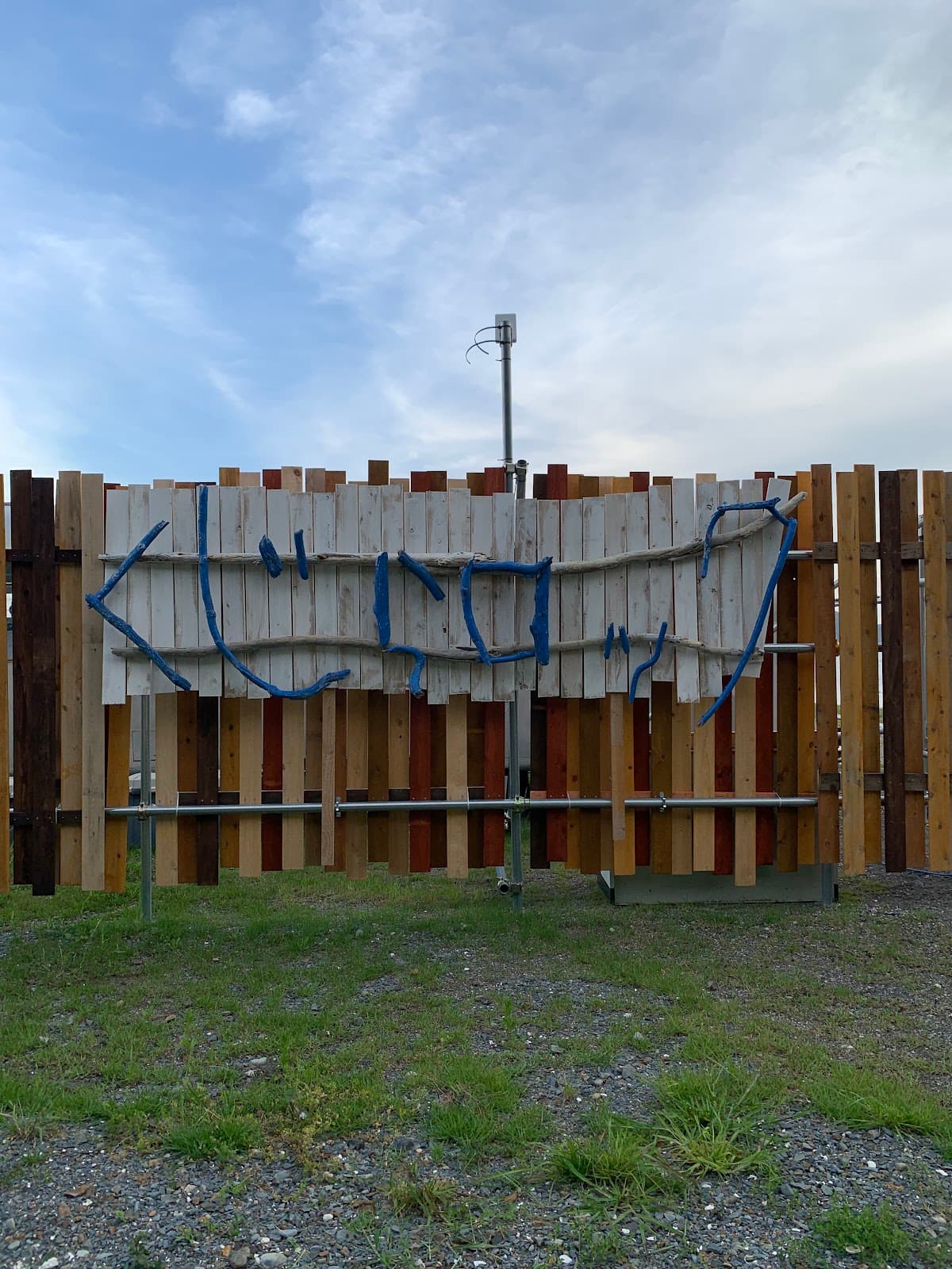 くじらロックキャンプ場