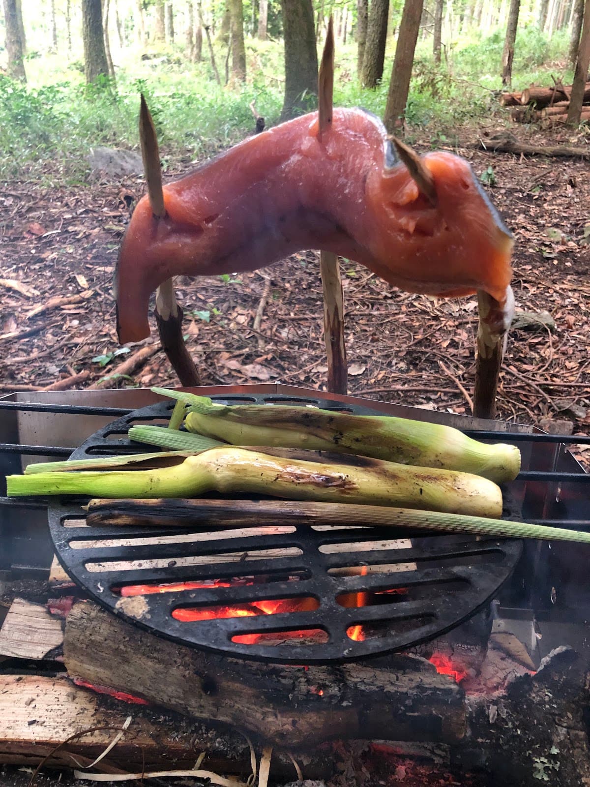 キャンプ場 山十野営地
