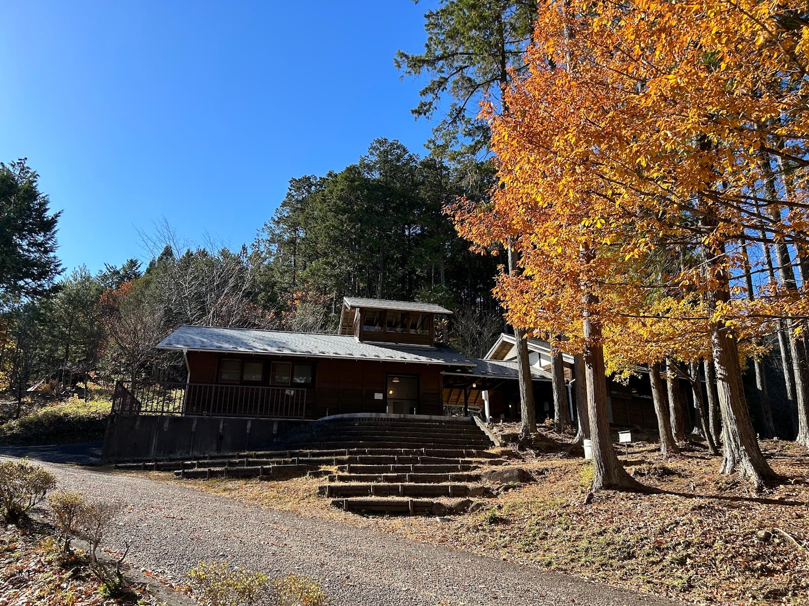 椛の湖オートキャンプ場