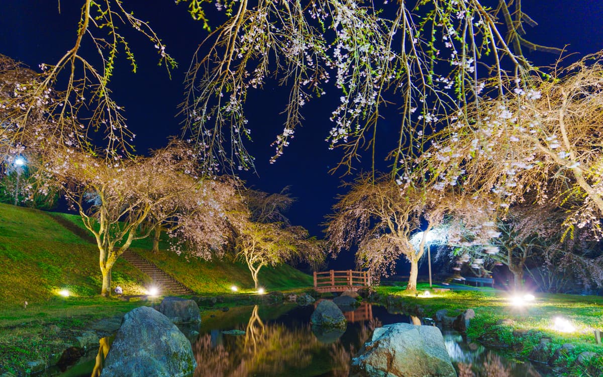 きじやでキャンプ