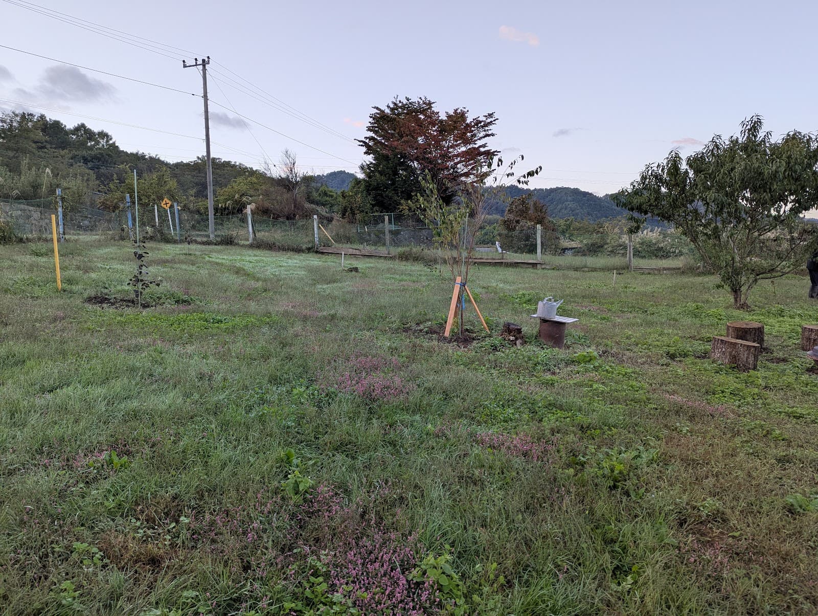 ナチュラルカフェ キャンプサイト