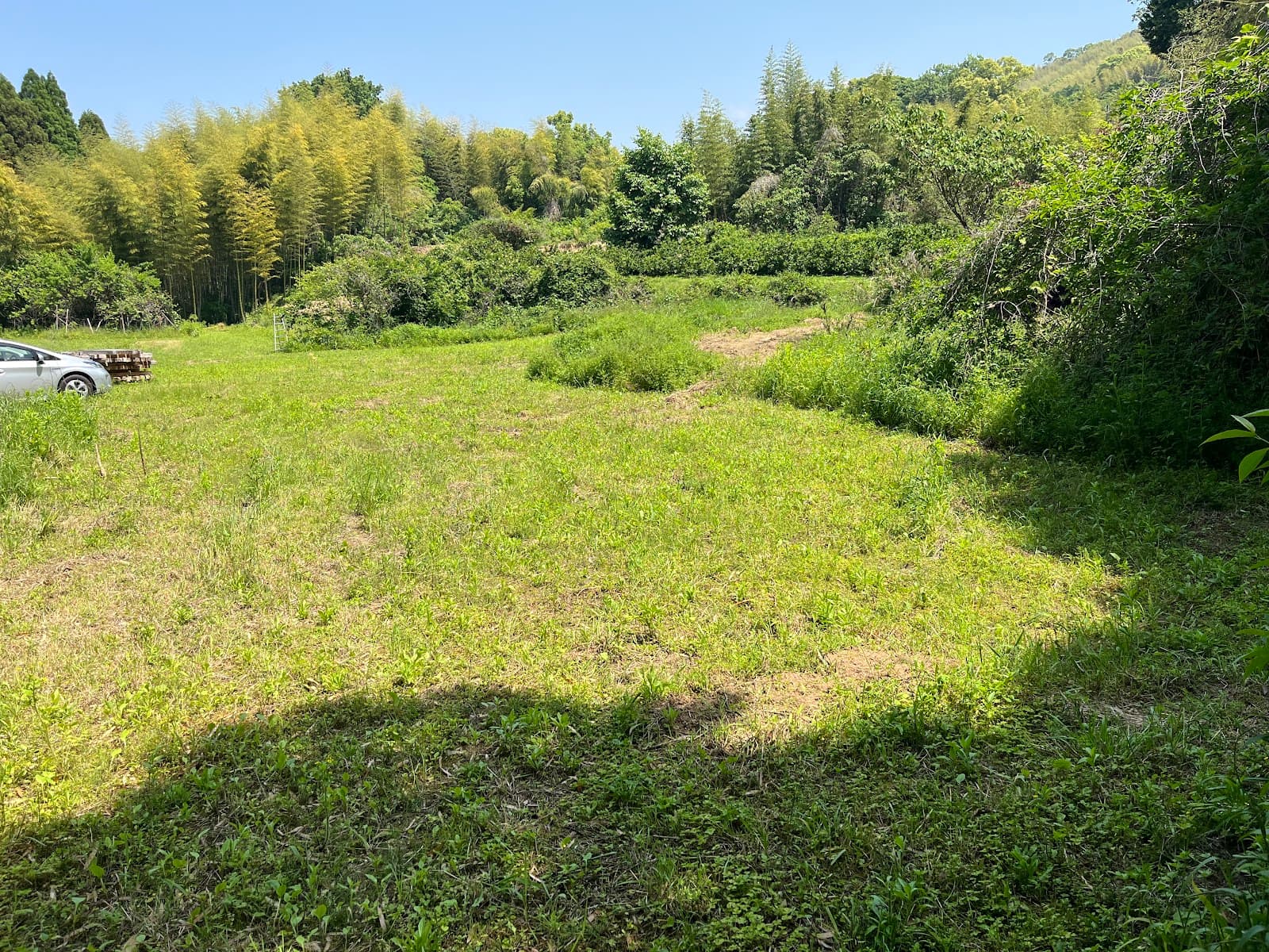 大牟田今山ドッグランキャンプ場