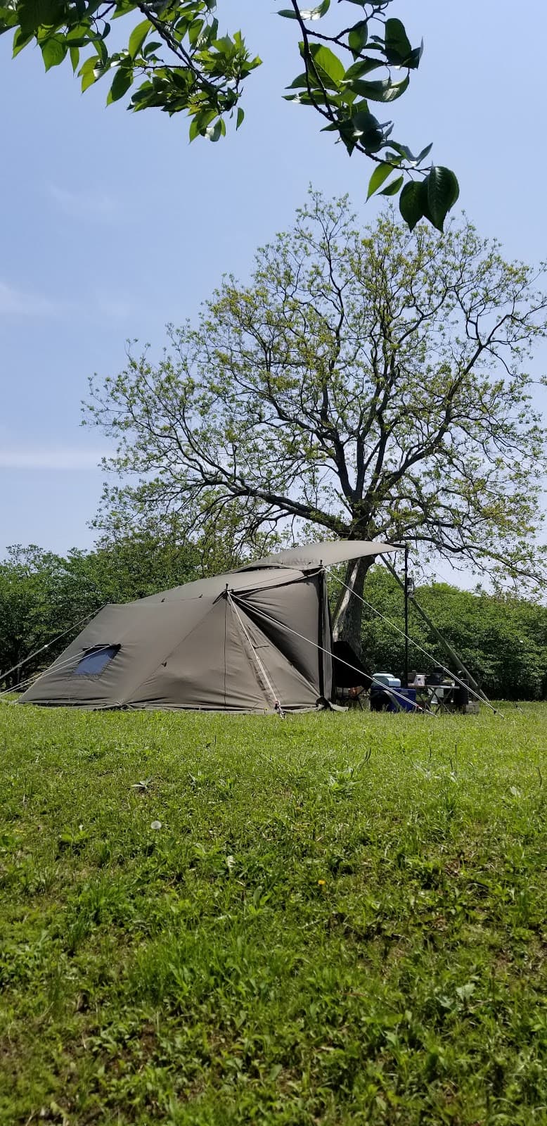 フリーテントサイト