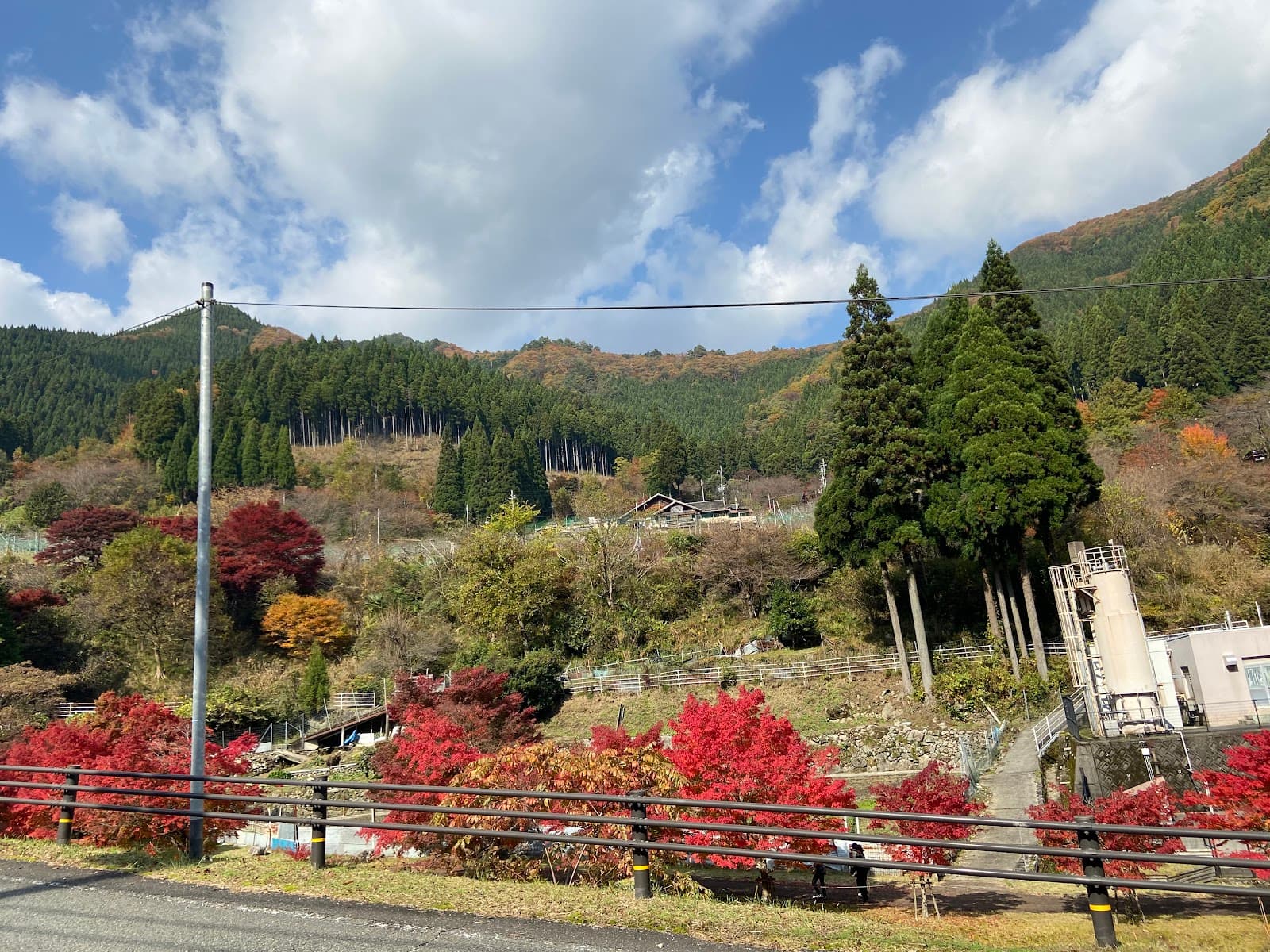 グリーンハウスみちの丘